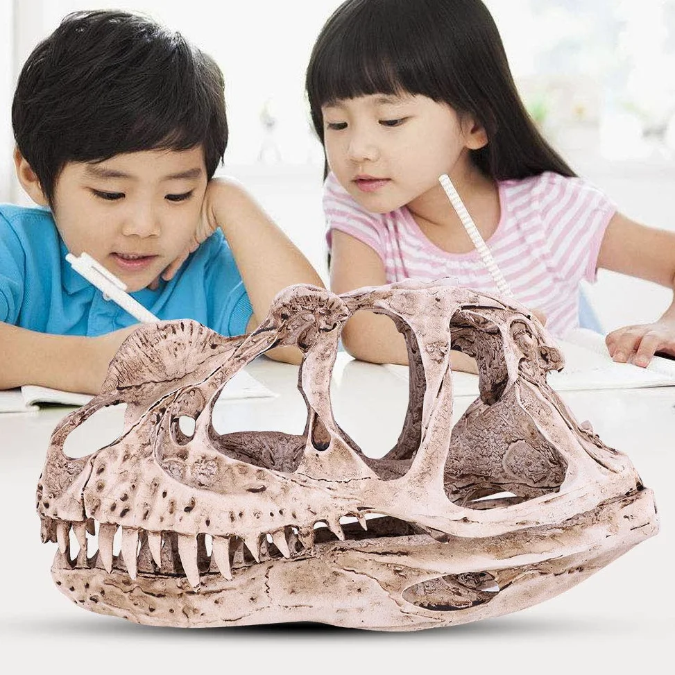 GOTOTOP Modello di teschio di dinosauro, modello di teschio di dinosauro in resina, scheletro di animali, casa, ufficio, bar, feste, decorazioni per lavori artigianali