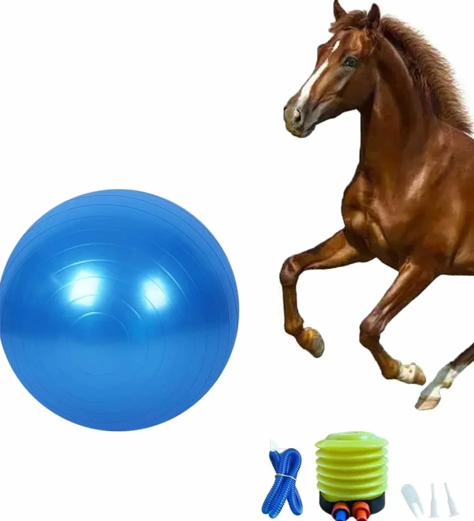 Giocattolo per allenamento a forma di palla di cavallo, anti-scoppio con pompa di gonfiaggio, per cavallo, agnello, capra, giocattolo di intrattenimento (55 cm, blu)