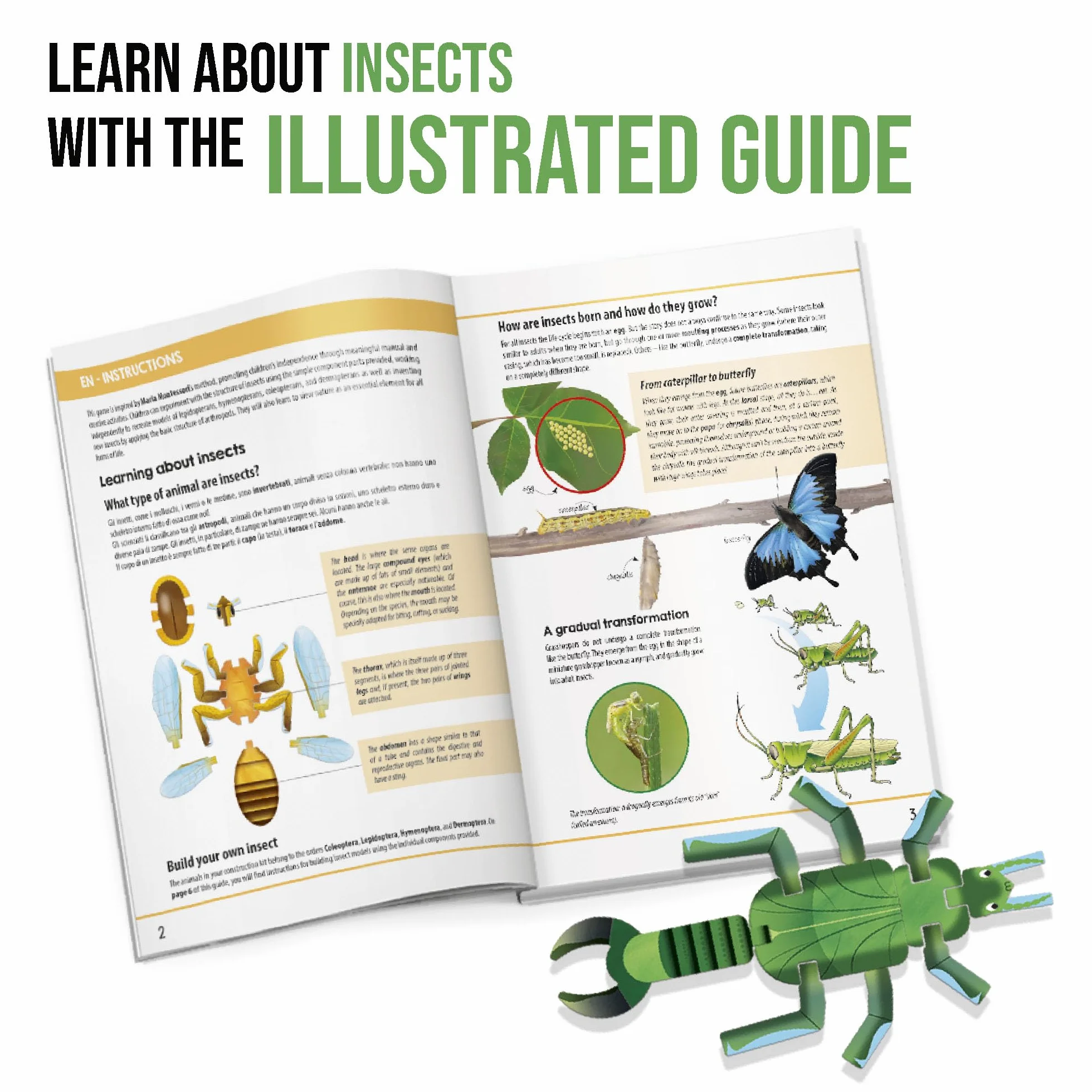HEADU - Insect Builder NEW - Gioca e Scopri Come Sono Fatti gli Insetti | Giochi Educativi Bambini 5 6 7 8 Anni, Idea Regalo Bambino 6 anni, Regalo Compleanno Natale Scuola STEM, Made In Italy