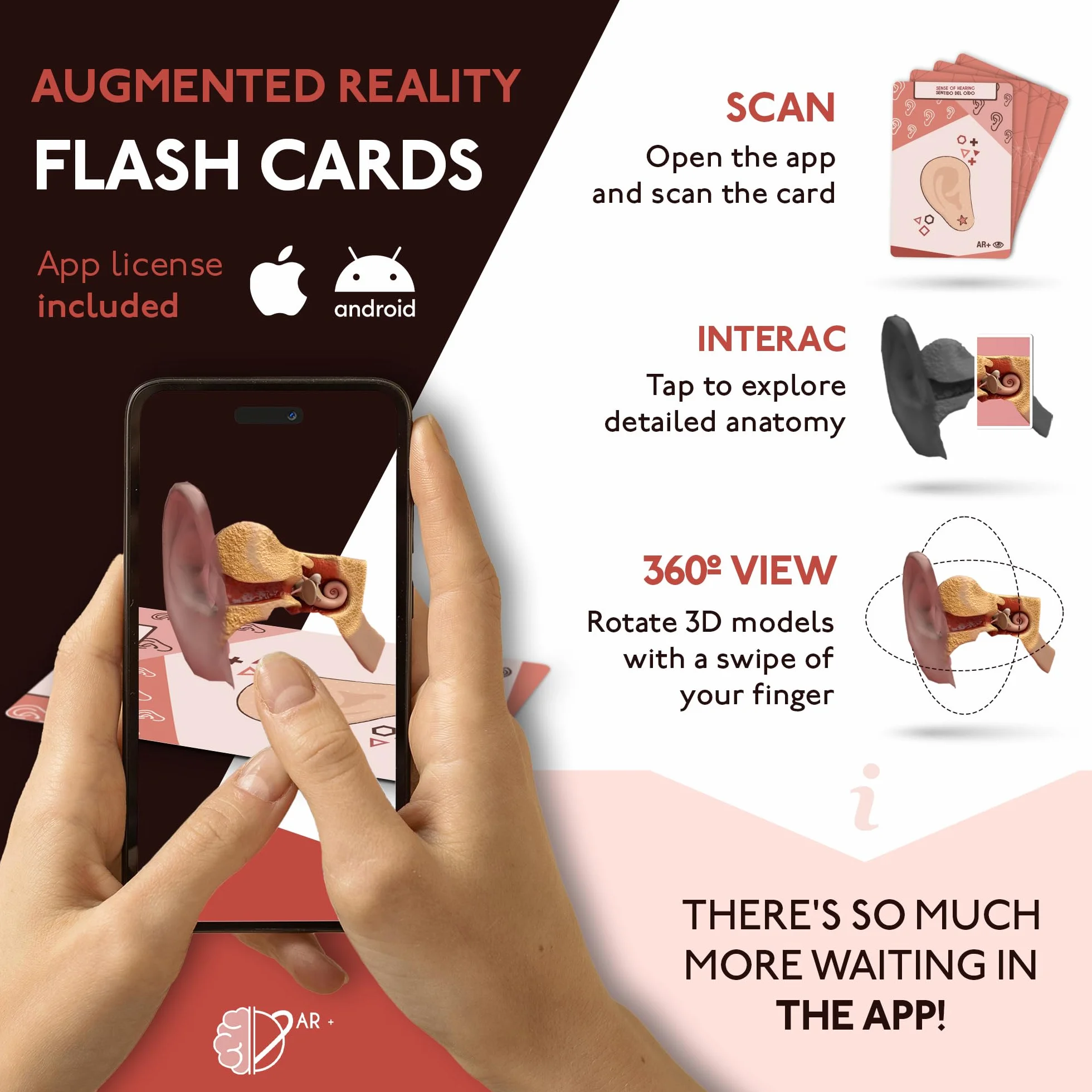 Body cards, carte con realtà aumentata per conoscere il corpo umano giocando
