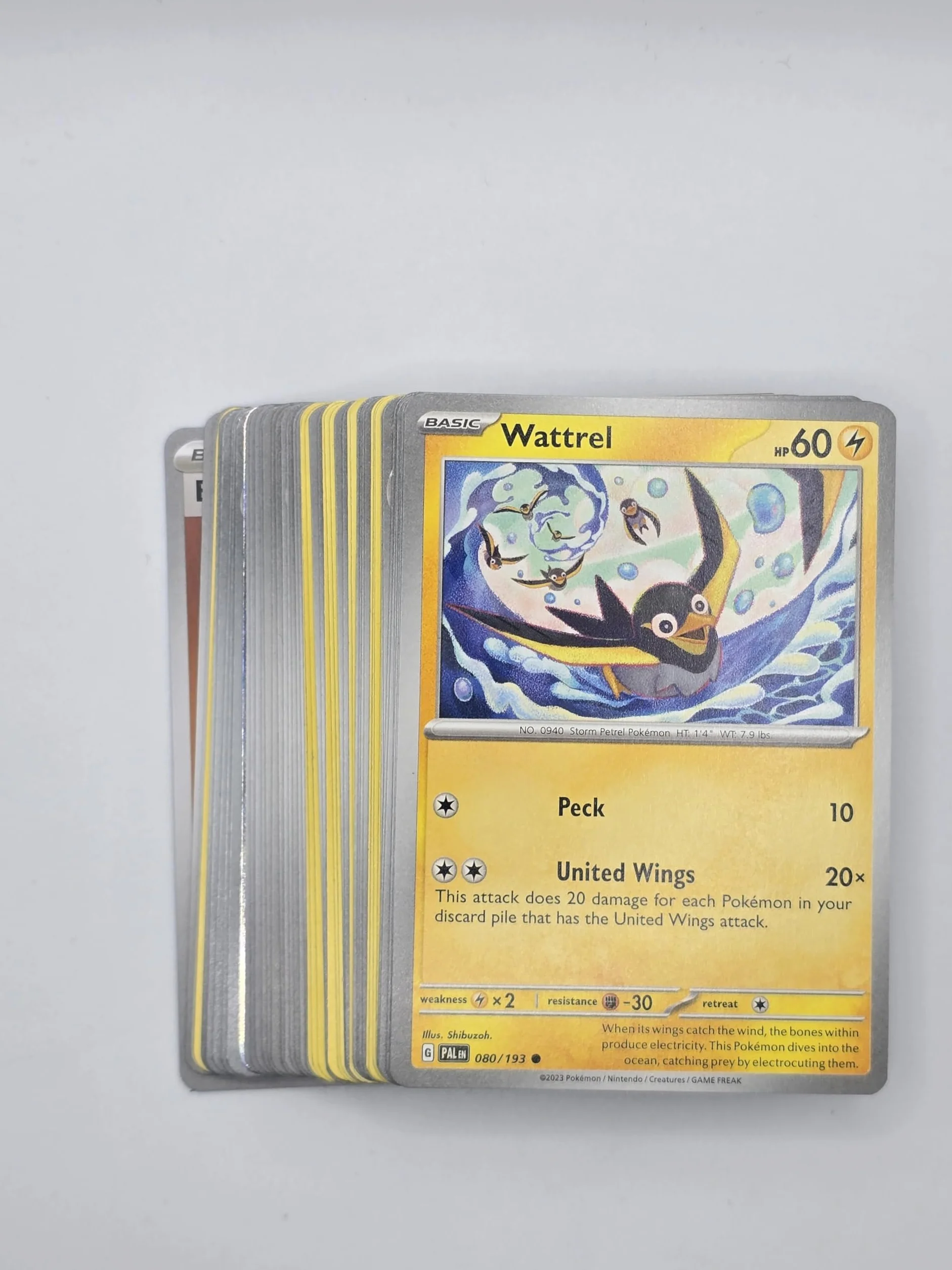 Pokémon 50 carte assortite gioco