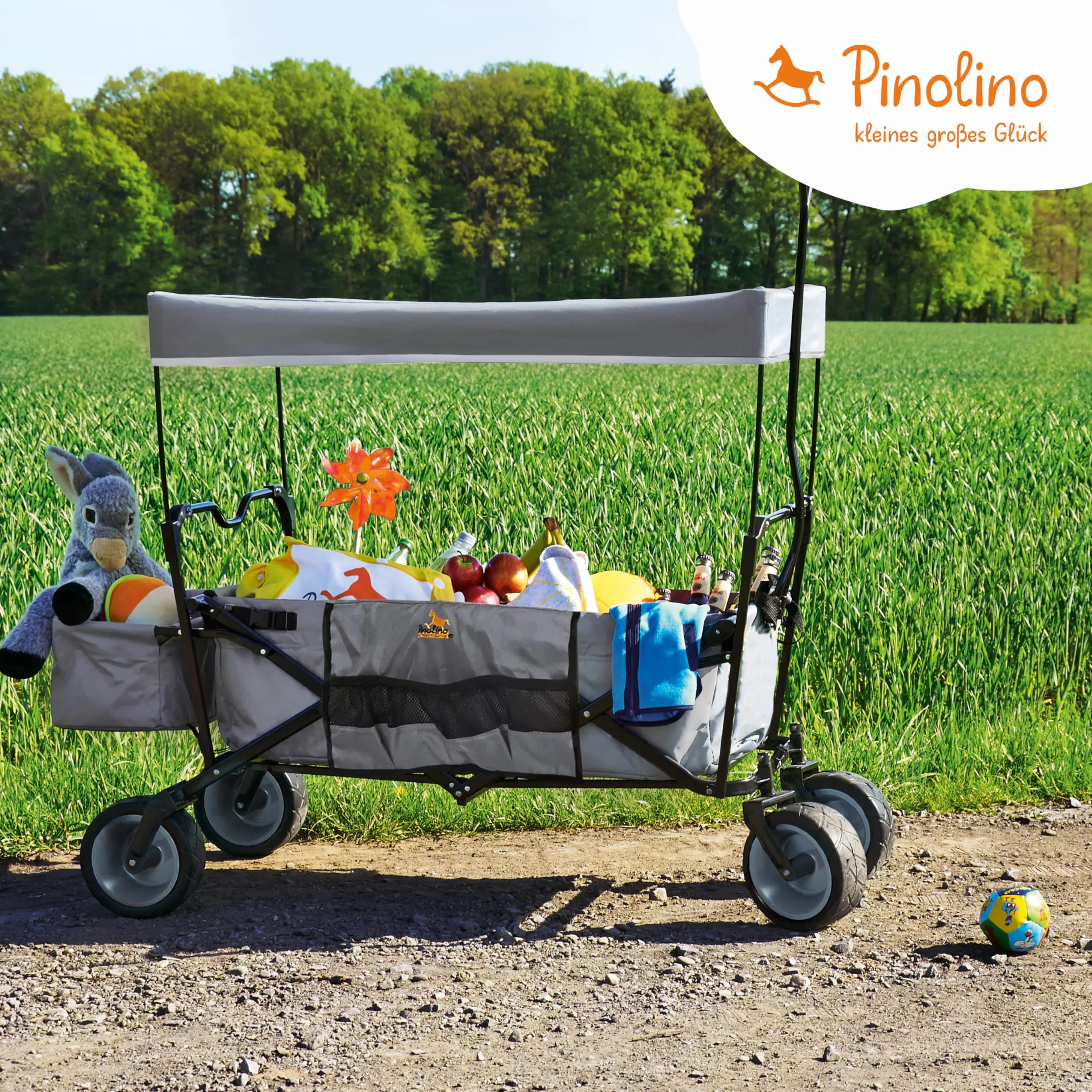 Pinolino Paxi - Carrello pieghevole pieghevole con tettuccio parasole, borsa posteriore e borsa per il trasporto, pneumatici in poliuretano, capacità di carico 70 kg, colore: Grigio