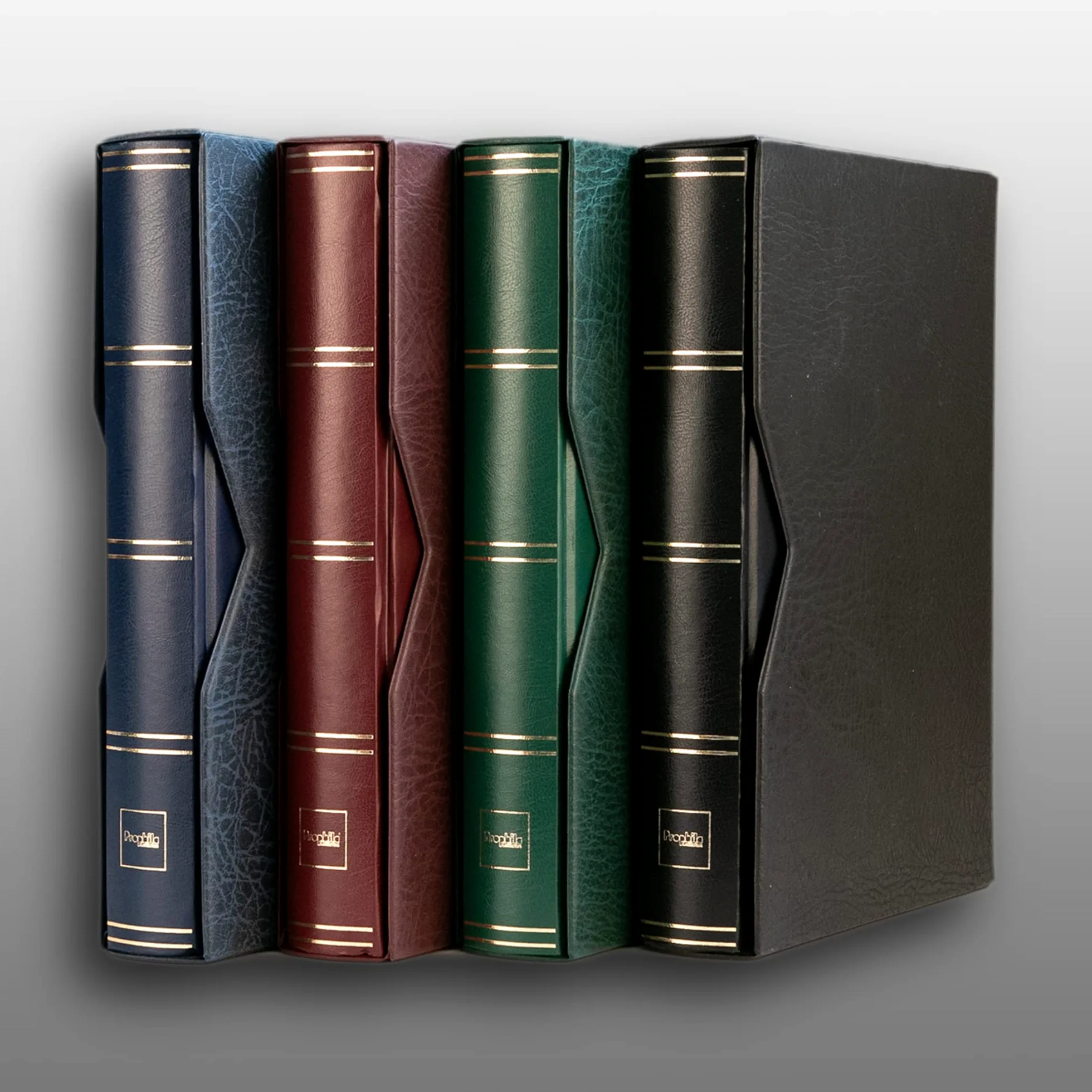 Prophila classificatori 60 pagina bianco DIVIDIDA con cofanetto marrone