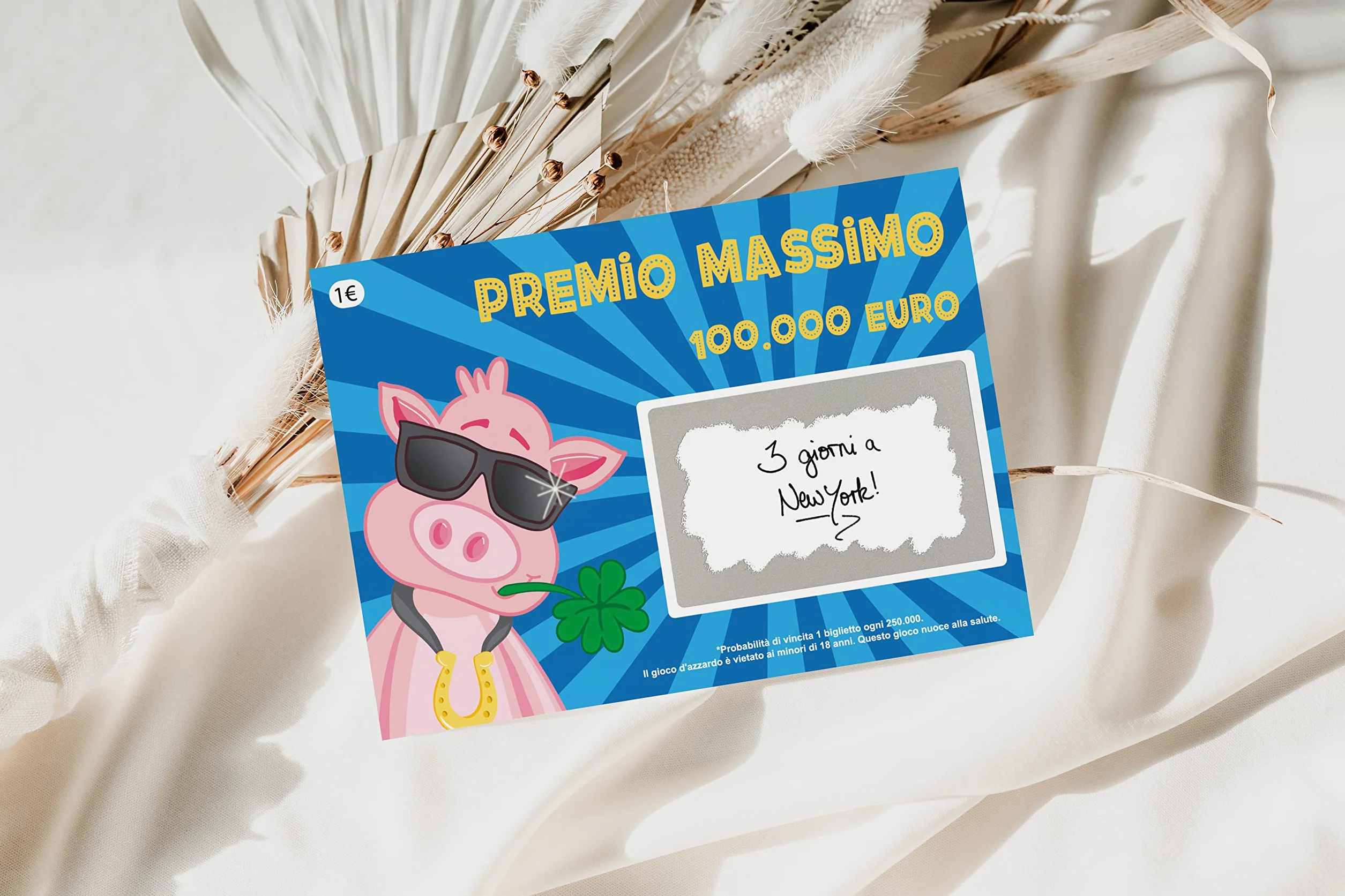 Joli Coon 5 Gratta e vinci scherzo 100.000 - Gratta e vinci personalizzato - Gratta e vinci scherzo