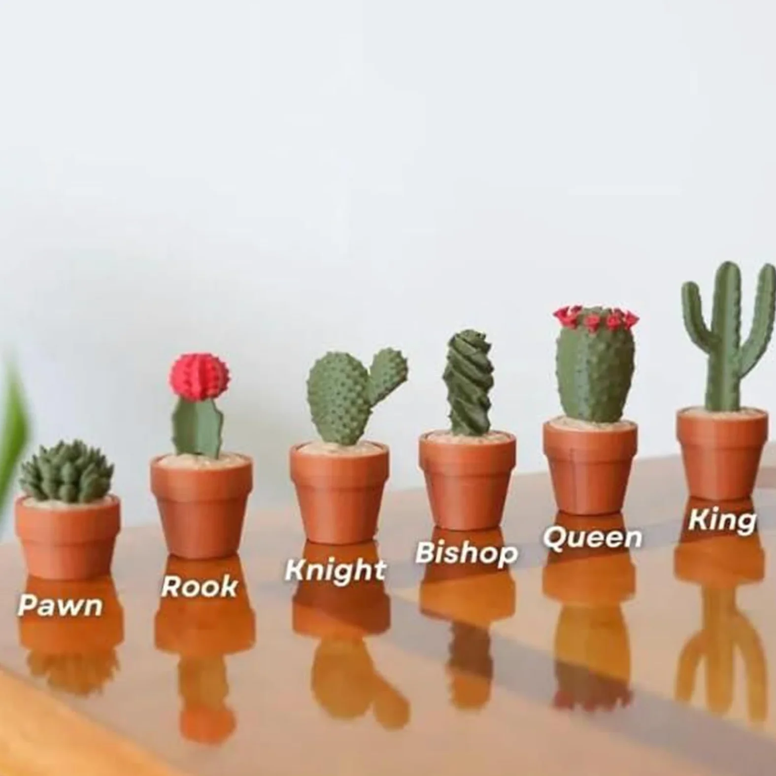 Set di Scacchiera A Formadi Cactus, Scacchiera Magnetica Arrotolabile A Forma di Cactus Portatile, Decorazione da Tavolo per Viaggi, Adulti, Principianti, Amanti Delle Piante
