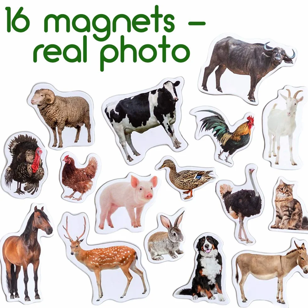 Magneti da Frigorifero per Bambini Grandi Magneti Fattoria 16 PCS Animali Realistici Gioco Montessori