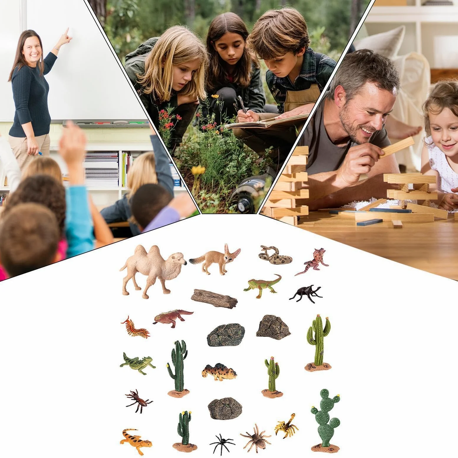 Generisch Animali del deserto, 24 pezzi, modellino di piante | Set di statuette di animali in miniatura per casa, bancone, soggiorno, giardino, tavolo da tavolo, oggetti di scena