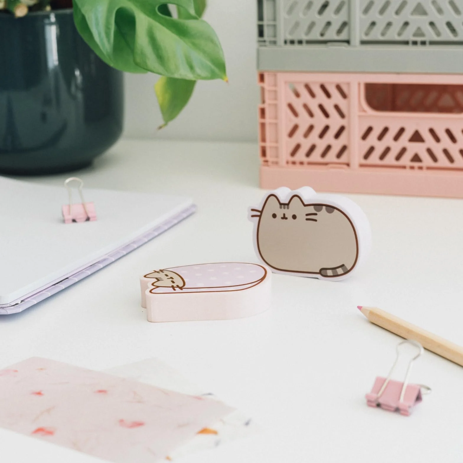 Grupo Erik: Gomme da cancellare Pusheen Moments | Set da 2 gomme jumbo da cancellare, Gomme da cancellare per bambini, Cancelleria Pusheen, Pusheen Gadget