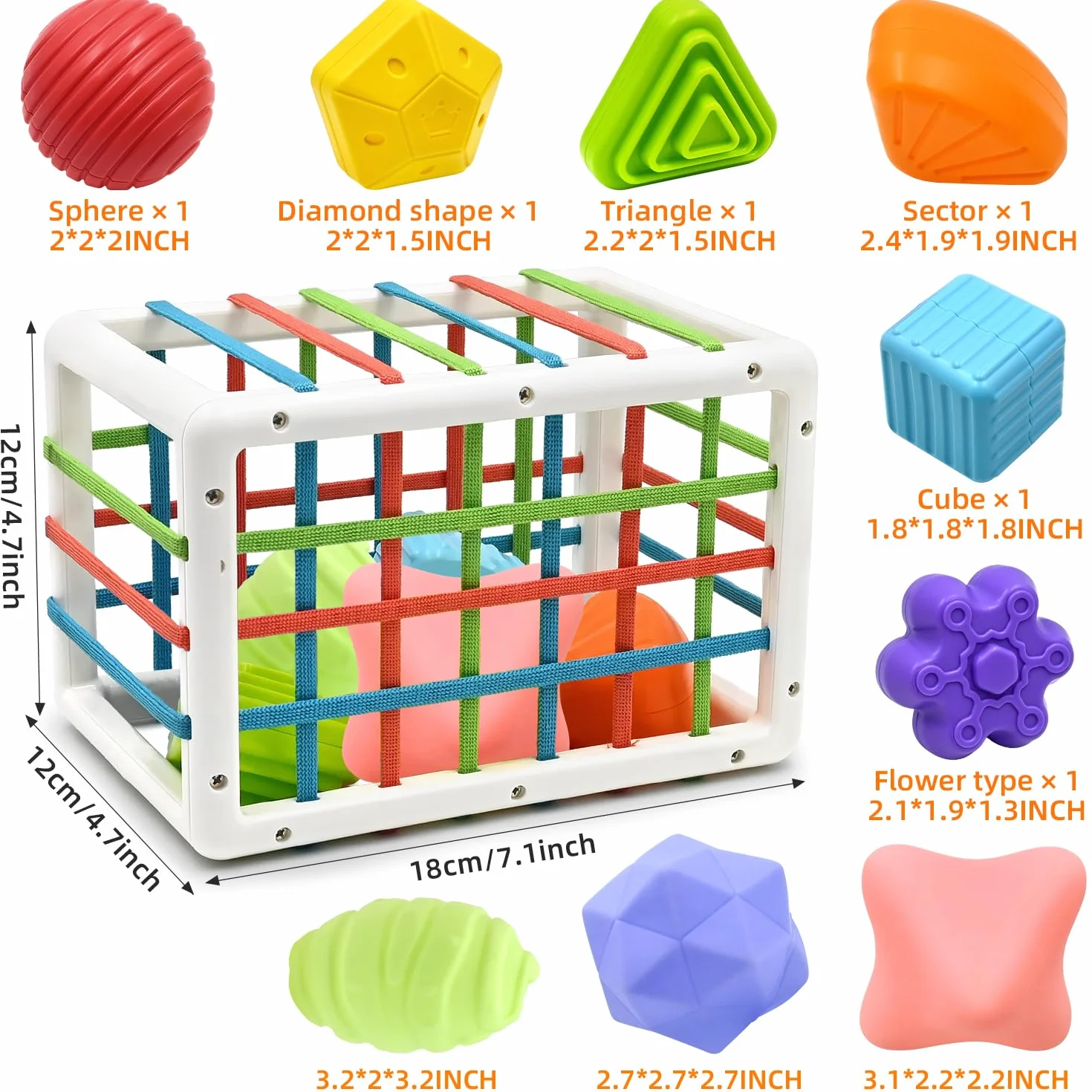 Montessori Giocattolo Selezionare Forme 12-24 Mesi Bambino Casella Smistamento Sensoriale Elastici 6 Pezzi Palle Struttura