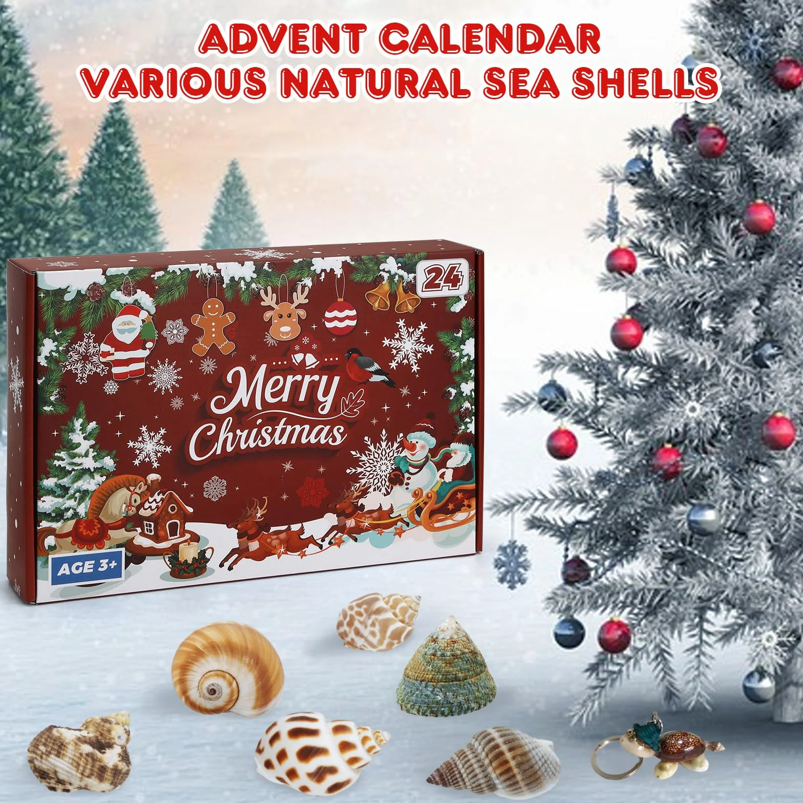 Aitsite Calendario dell'Avvento 2025 conchiglie, 24 giorni di conchiglie naturali calendario dell'Avvento, collezione di conchiglie appassionate calendario del conto alla rovescia per ragazzi ragazze