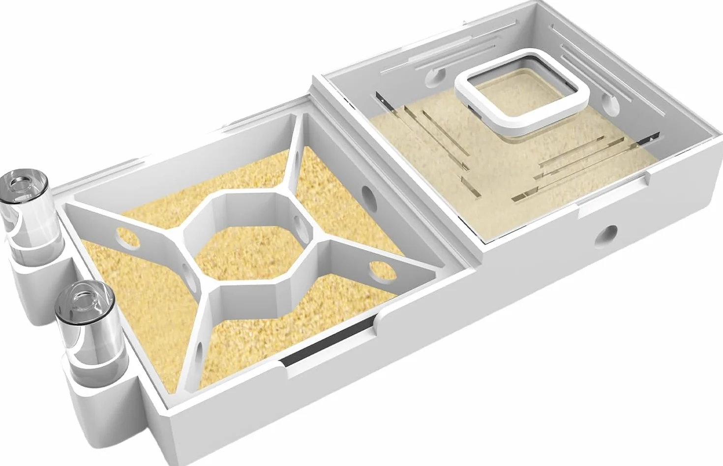 Fattoria trasparente formico per adulti - Nest Farm per vivere formiche e regina, laboratorio 3D, giardino, osservazione sabbia gialla
