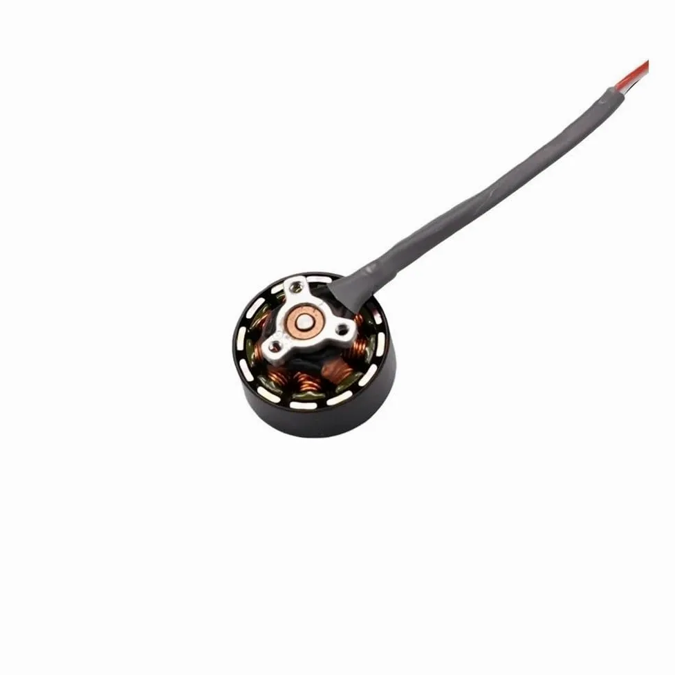 Motore braccio, anteriore posteriore, compatibile con drone NEO 2, pezzo di ricambio(1 set Motor)