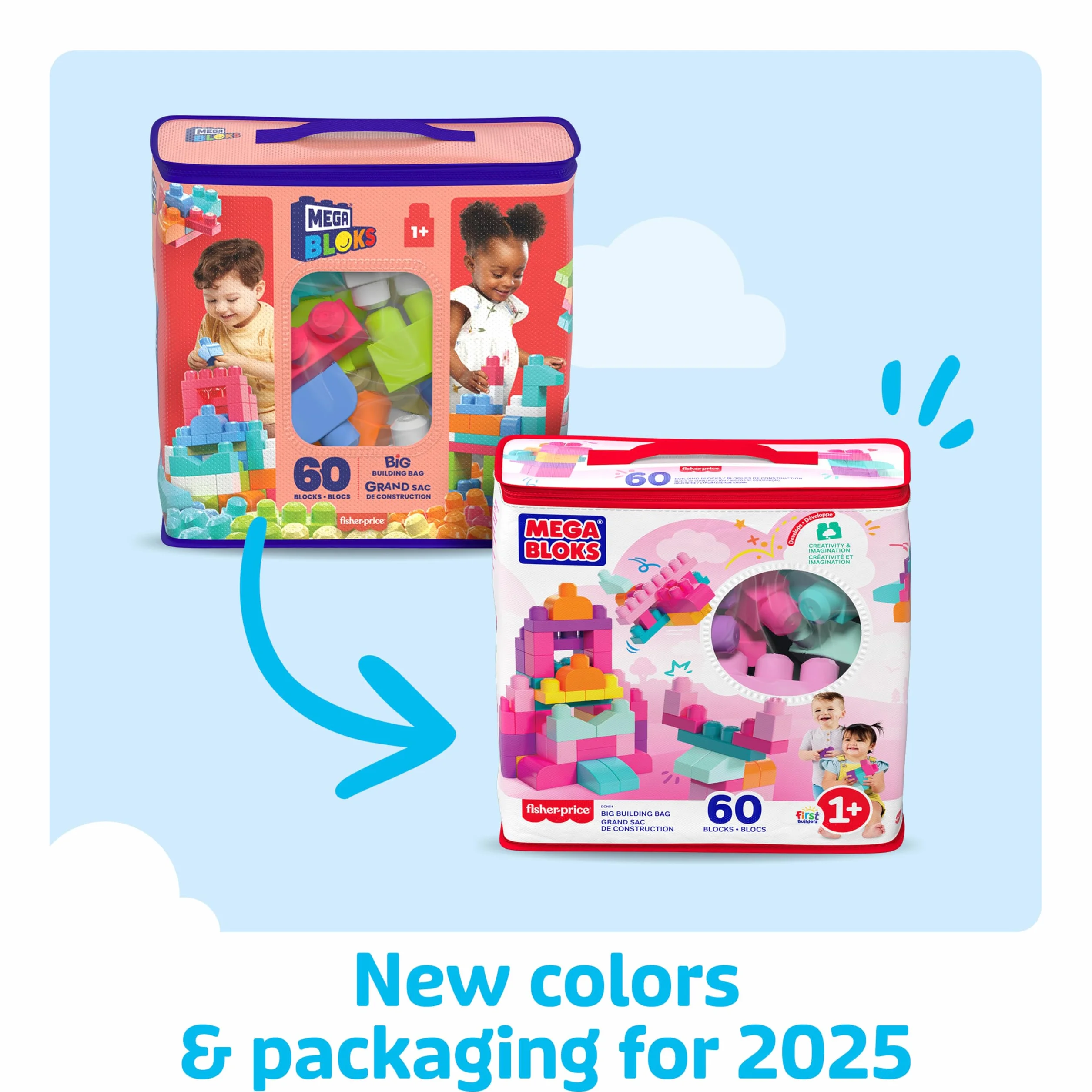 MEGA BLOKS Grande Borsa da Set da costruzione 60 mattoncini colorati 1 custodia DCH54