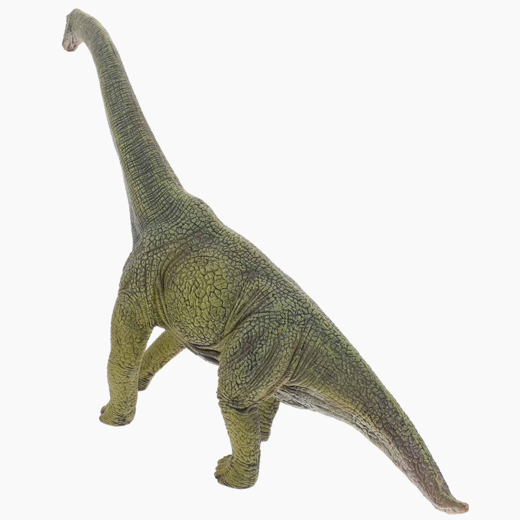 Figura di Brachiosauro in Plastica per Bambini, 1 Pezzo | Dinosauro Giocattolo Realistico, Dettagli Curati, per Festa di Compleanno e Decorazione