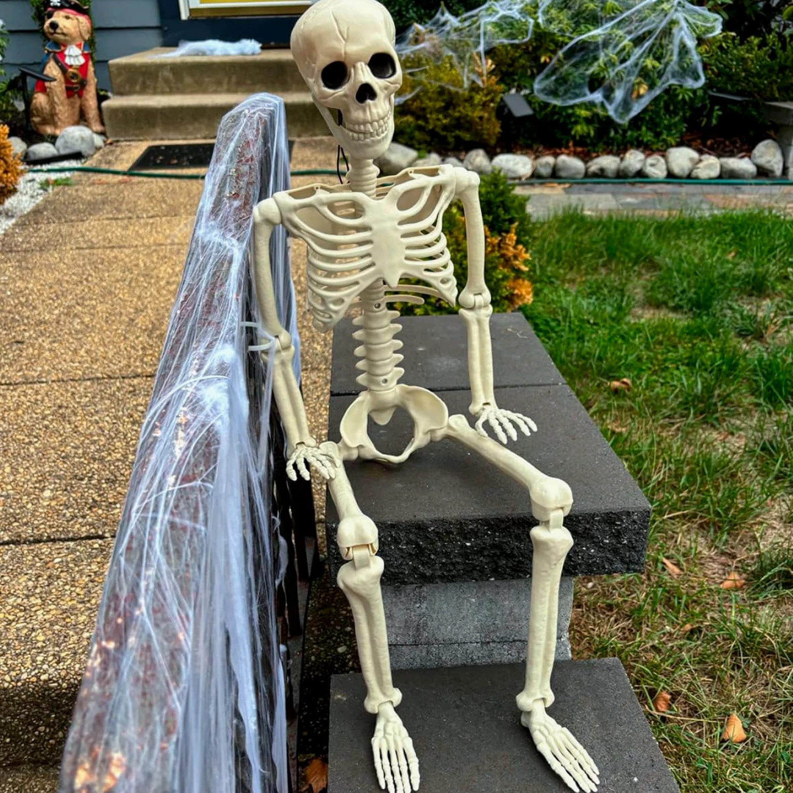 XONOR Scheletro di Halloween realistico in plastica umana da 91 cm, con giunti mobili, per decorazioni di oggetti di scena per casa infestata