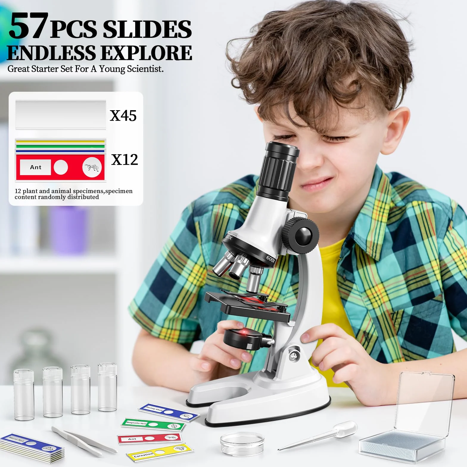 Giocattoli per microscopio