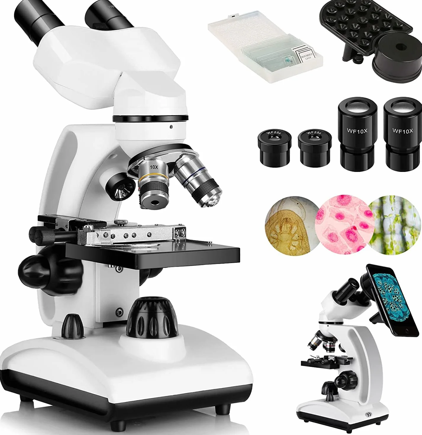 Cowiewie Microscopio Binoculare professionale a trasmissione e riflessione 40X-1000X per luce incidente e trasmessa, con oculare e illuminazione a LED, microscopio per studenti con vetrini
