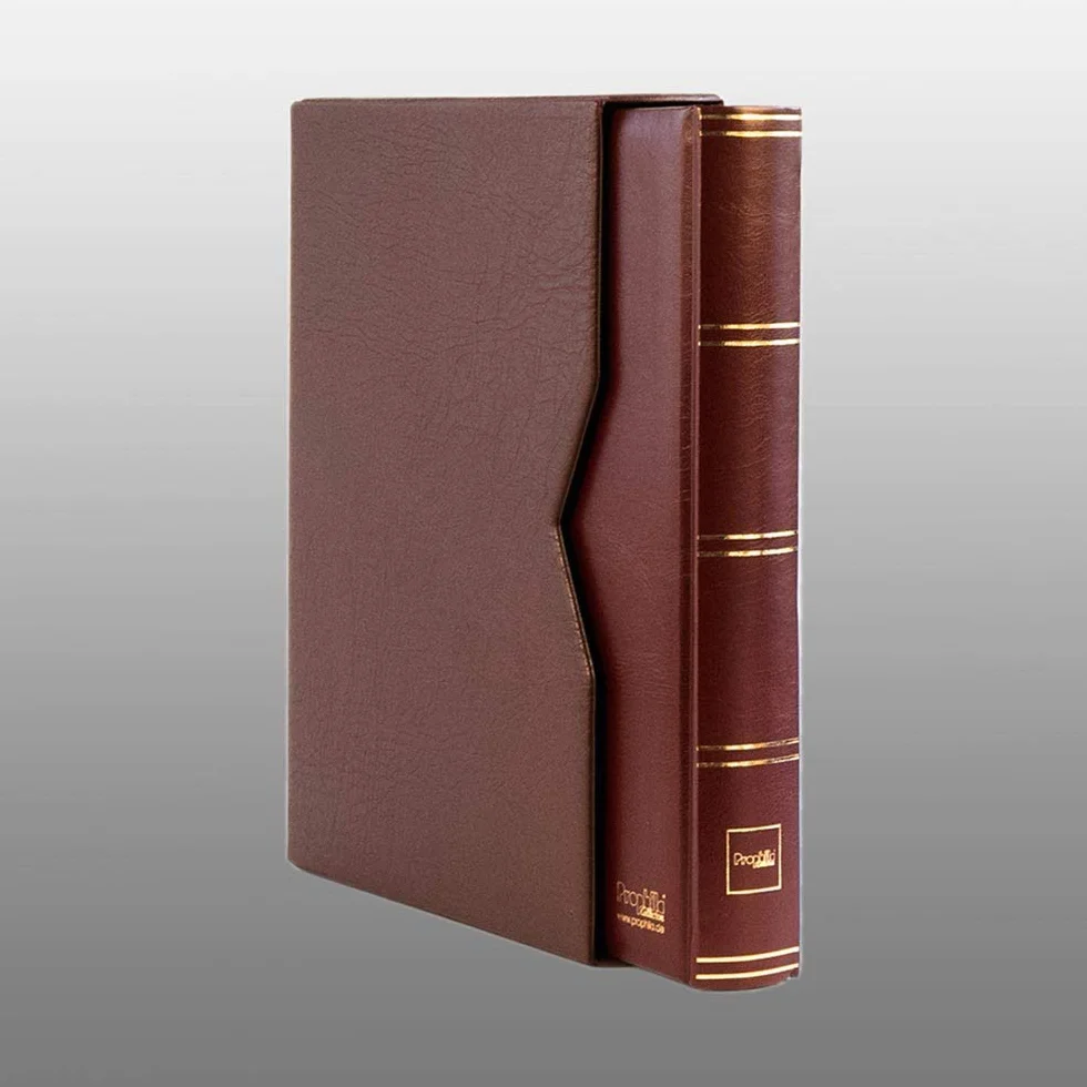 Prophila classificatori 60 pagina bianco DIVIDIDA con cofanetto marrone