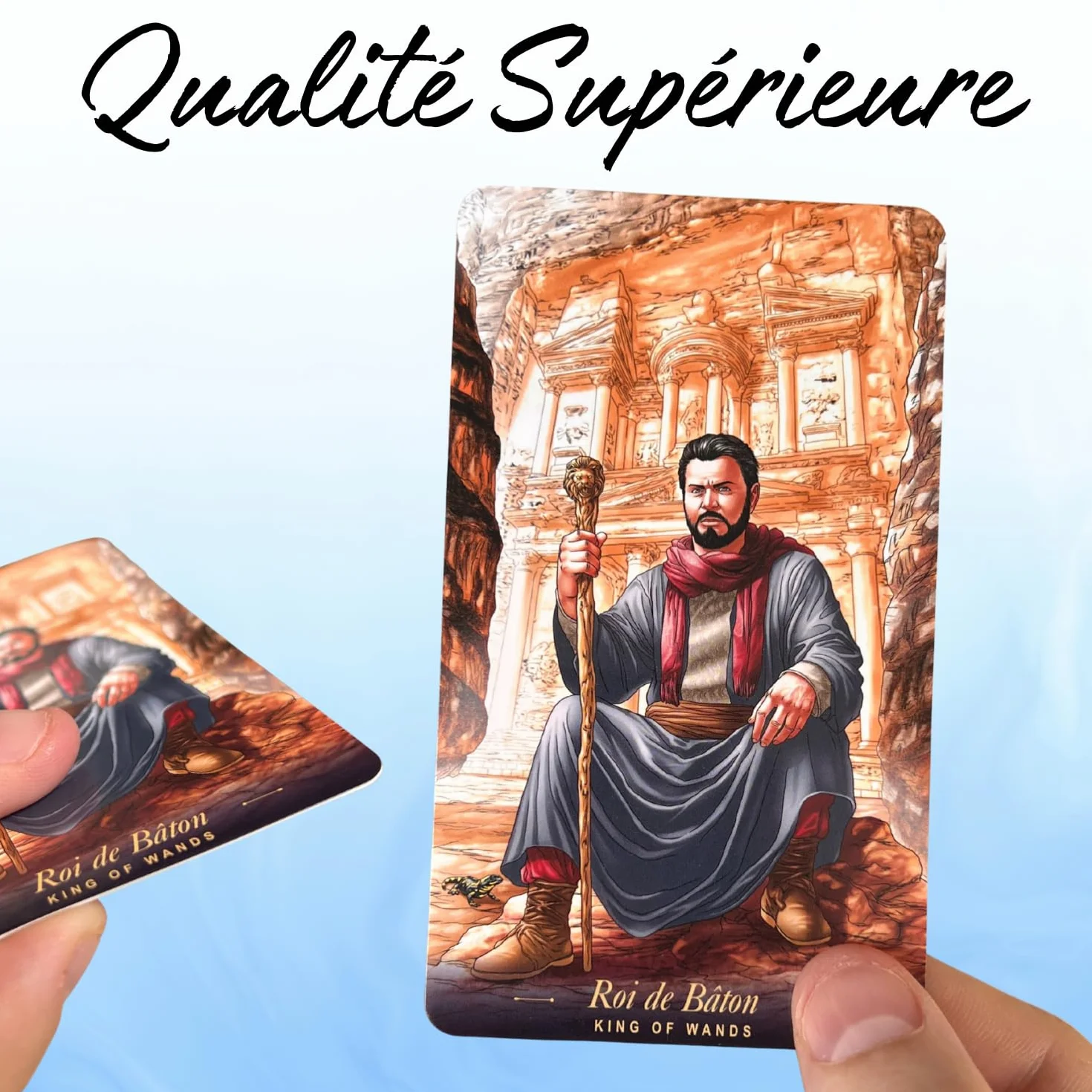 Tarocchi degli Specchi del Mondo 78 carte illustrate libretto Francese