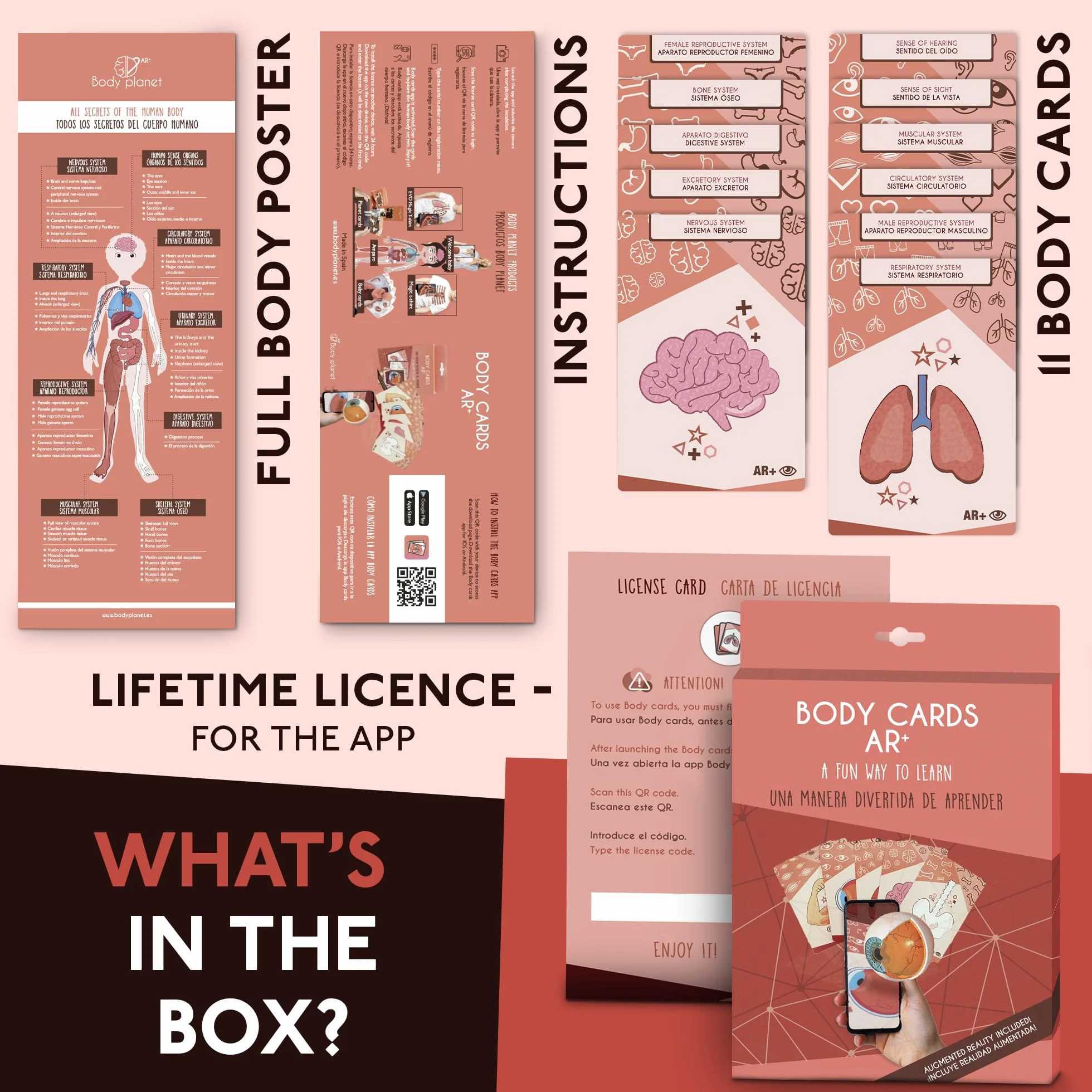 Body cards, carte con realtà aumentata per conoscere il corpo umano giocando