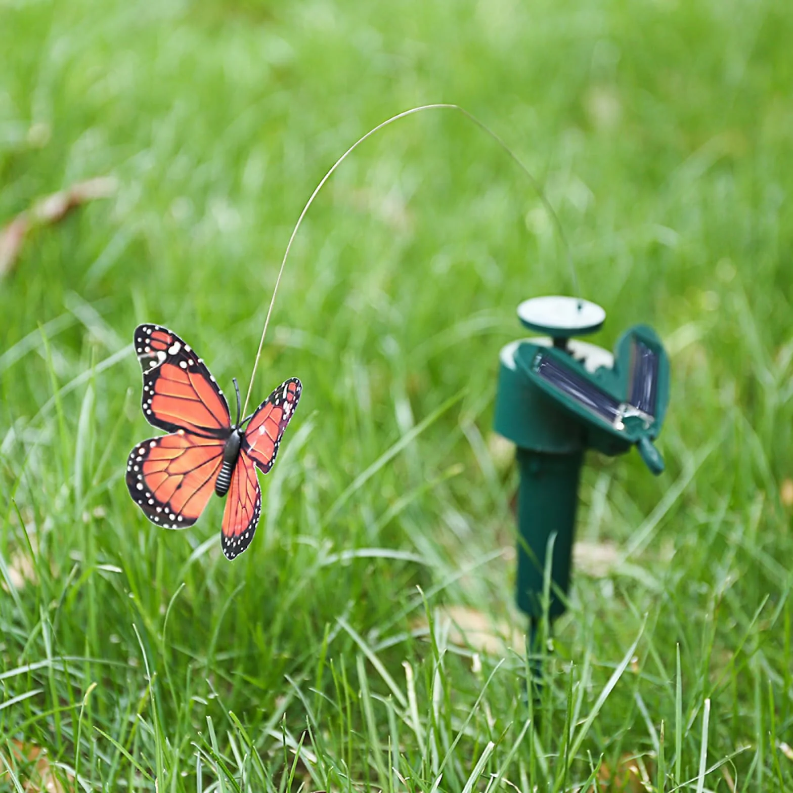 Farfalle danzanti solari colibrì volanti decorazione giardino