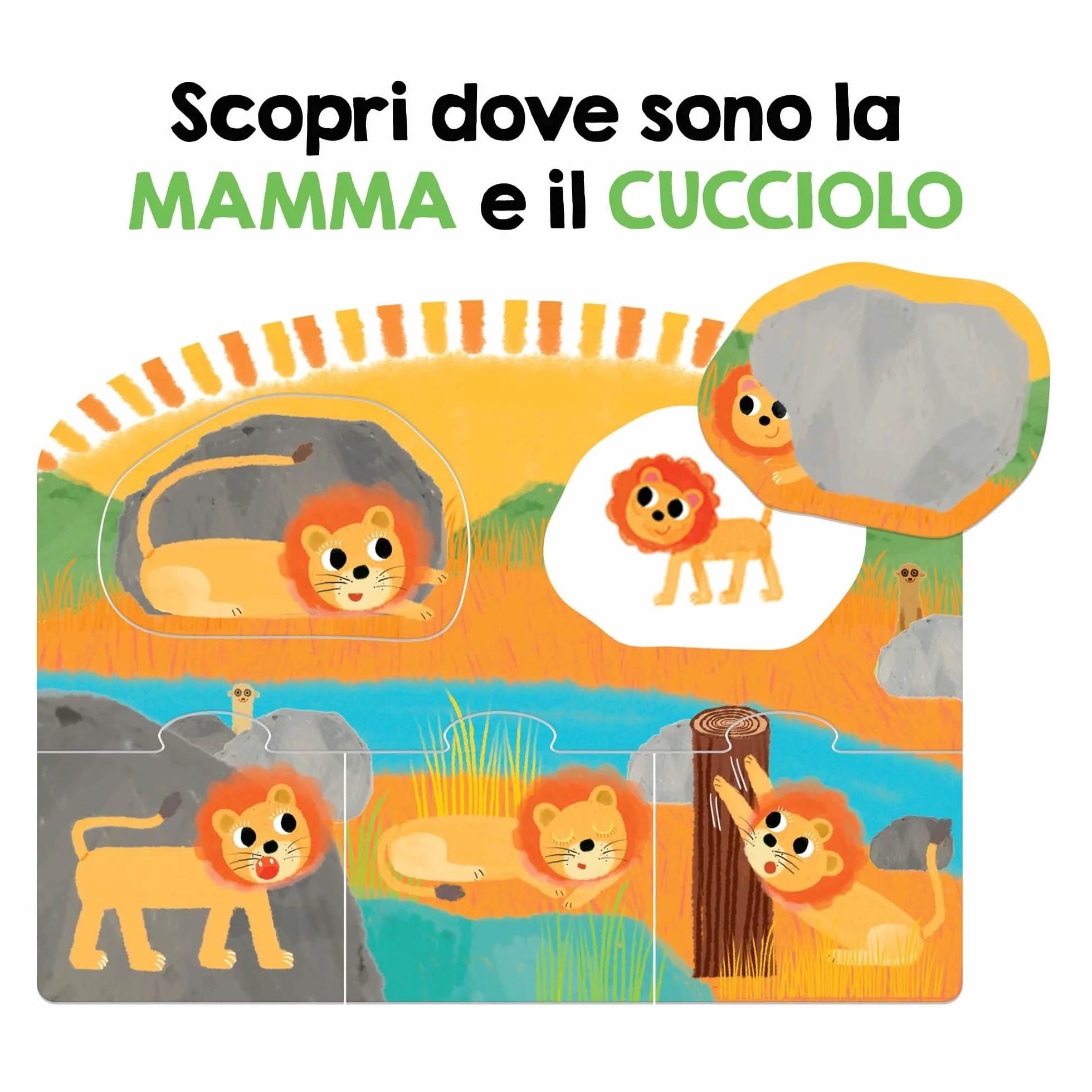 HEADU Chi Cosa Dove Giochiamo a Parlare Con Gli Animali Giochi Educativi 2-5 Anni Sviluppo Linguaggio Bambini Gioco Didattico