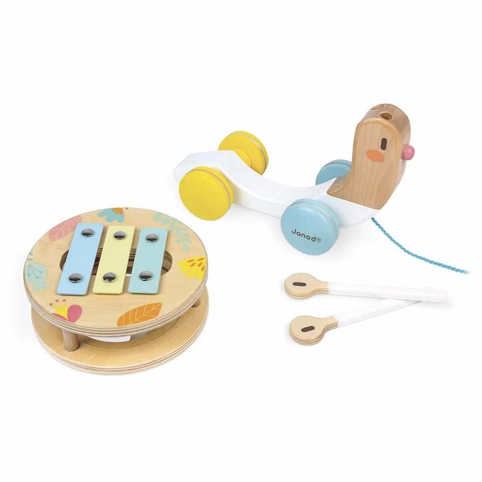 Janod - Chiocciola in Legno da Trainare Pure - Giocattolo in Legno con Xilofono e Tamburello - Vernice Ad Acqua - Giocattolo Educativo Musicale 1A Infanzia - Da 1 Anno, J05159