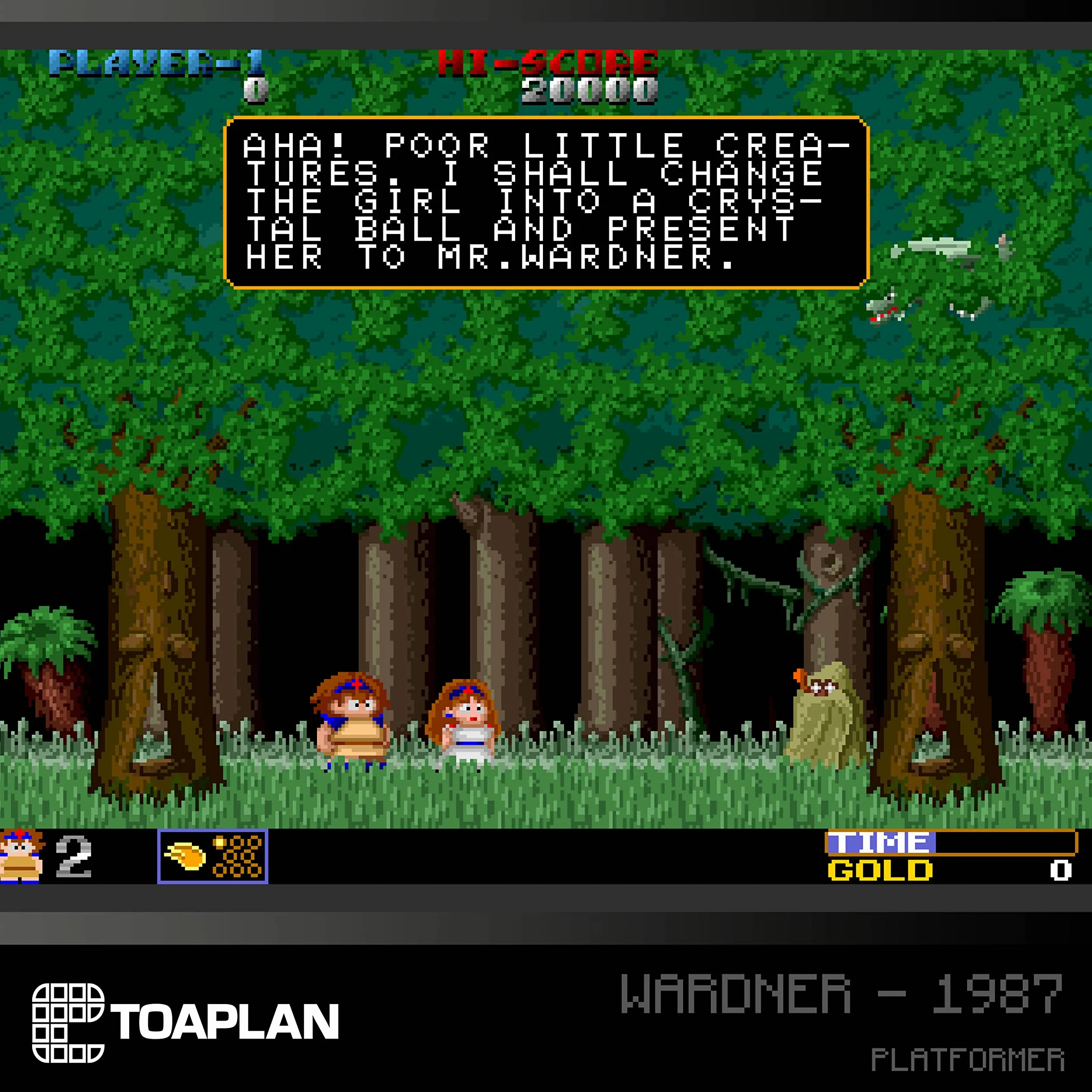 JUEGO RETRO EVERCADE TOAPLAN ARCADE 2