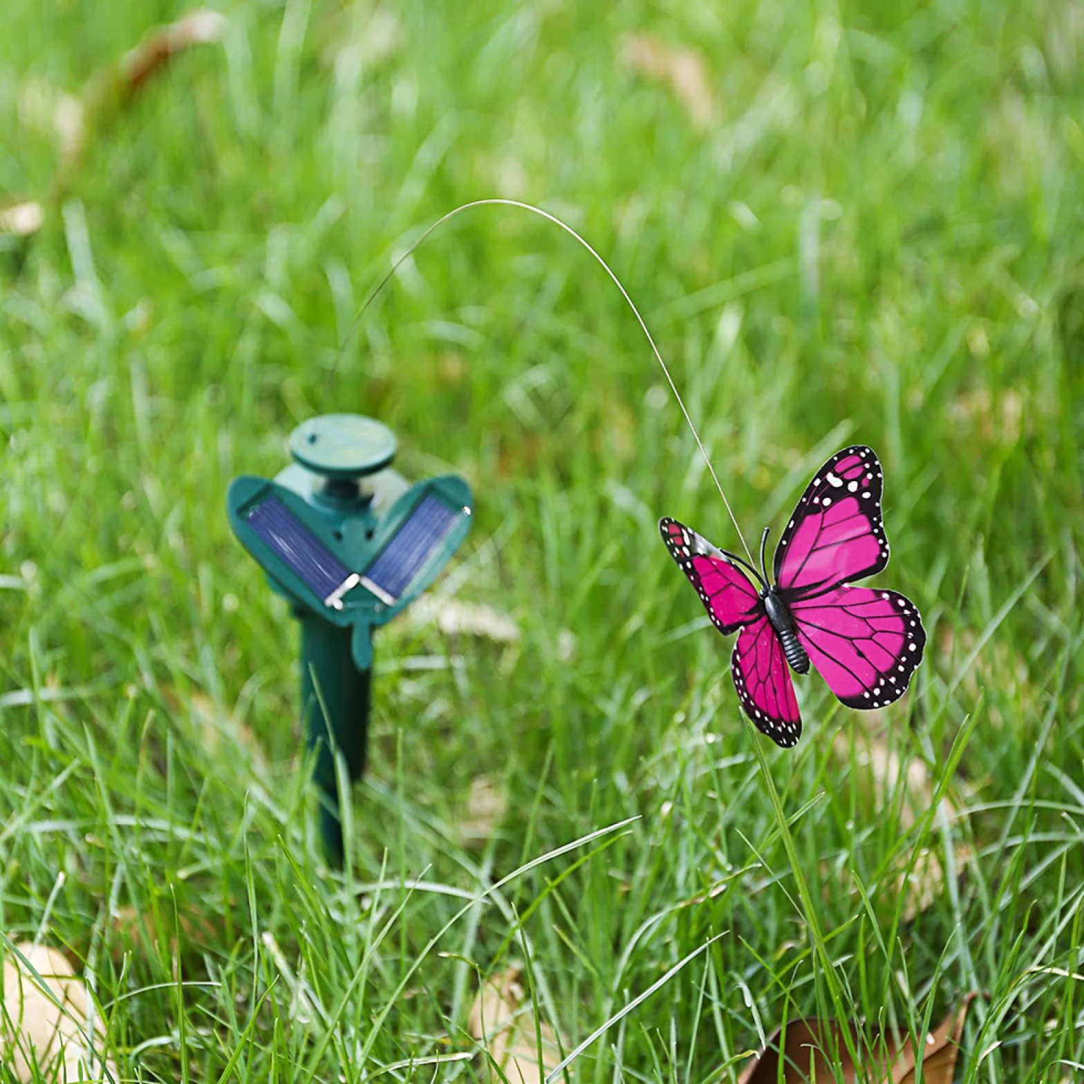 Farfalle danzanti solari colibrì volanti decorazione giardino