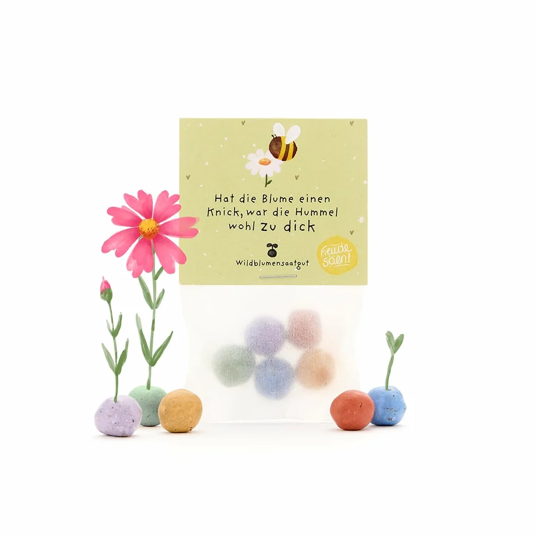 Bombe colorate con semi di fiori selvatici - 5 biglie di fiori colorate - ecologico regalo per giardinieri