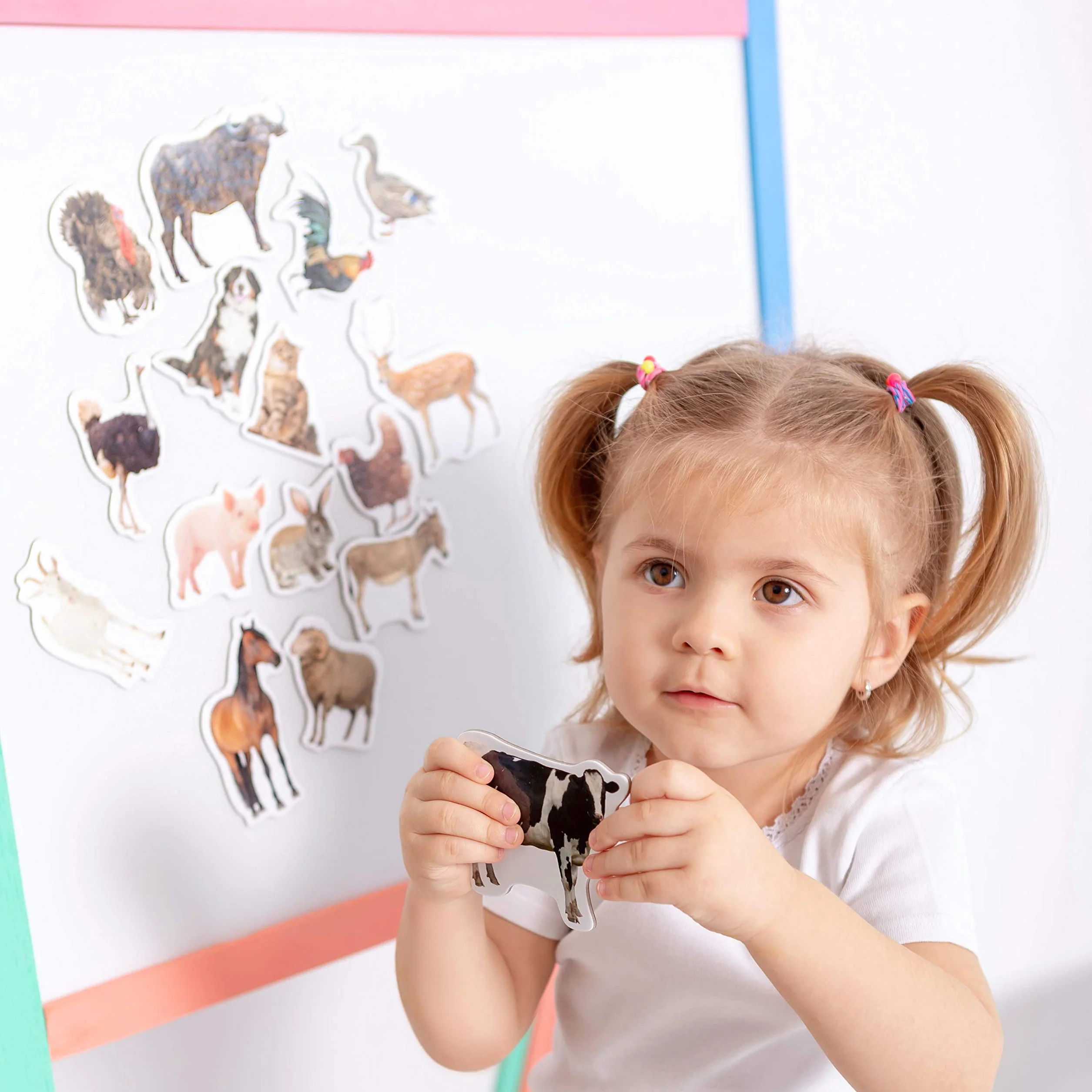 Magneti da Frigorifero per Bambini Grandi Magneti Fattoria 16 PCS Animali Realistici Gioco Montessori