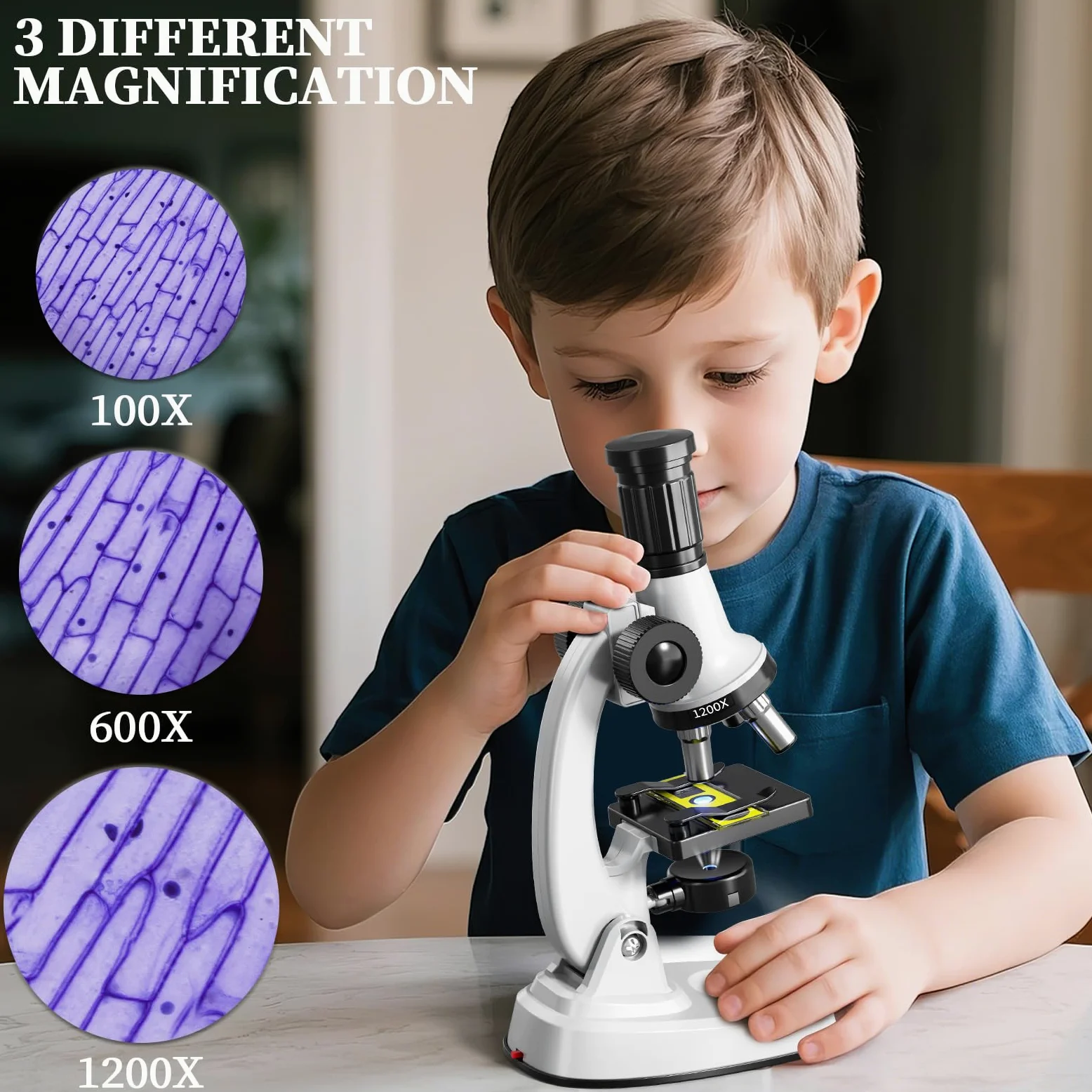 Giocattoli per microscopio