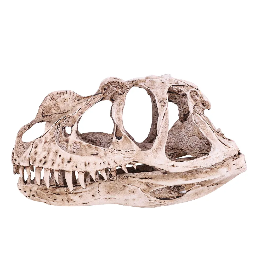 GOTOTOP Modello di teschio di dinosauro, modello di teschio di dinosauro in resina, scheletro di animali, casa, ufficio, bar, feste, decorazioni per lavori artigianali
