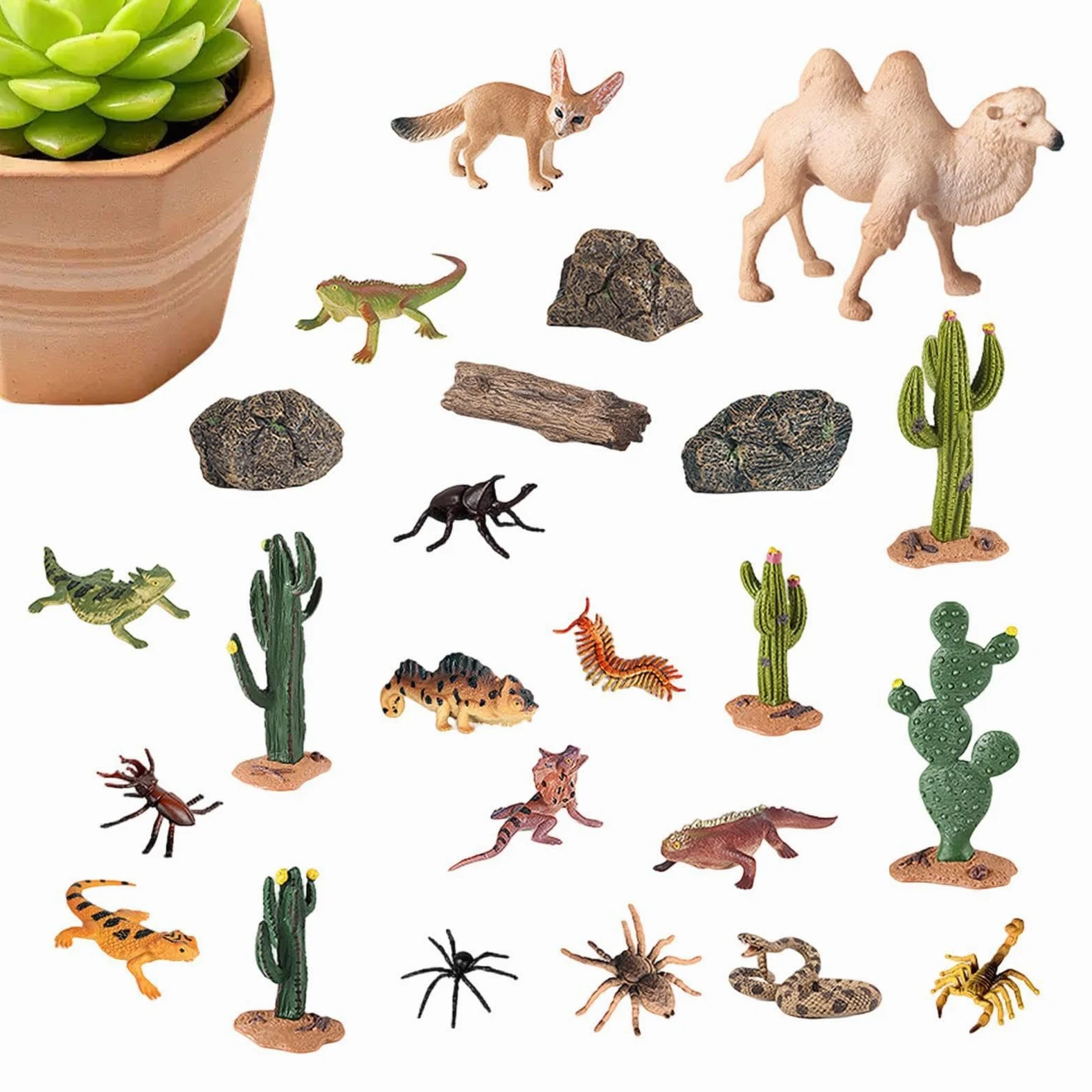 Statuine animali del deserto 24 Pezzi Giocattoli Modellini Di Piante | giocattoli animali del deserto realistici paesaggio in miniatura Per Bambini Comodino Mensola Giardino Tavolo
