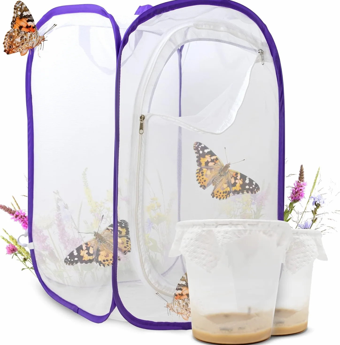 Set di allevamento di farfalle per bambini, circa 14 bruchi + grande habitat (40 x 40 x 60 cm) | E-book gratuito + materiale didattico | Coltiva bruchi a casa dai 3 anni | Farfalle cardo domestico