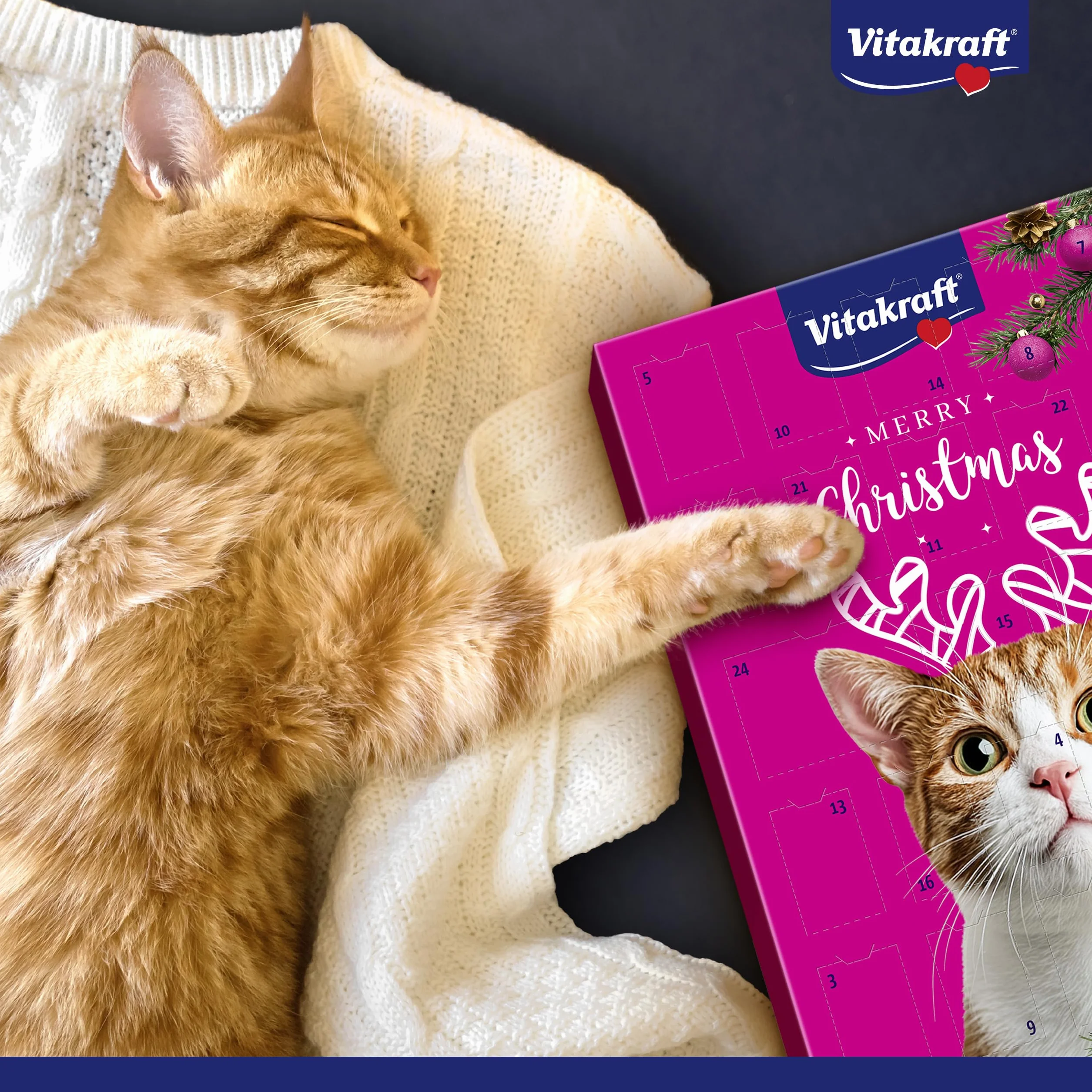 Vitakraft Calendario dell’avvento gatto, per Natale 2025, deliziosi snack selezionati con cura, per il periodo dell’avvento, snack per gatti di tutte le età (1x 363g)