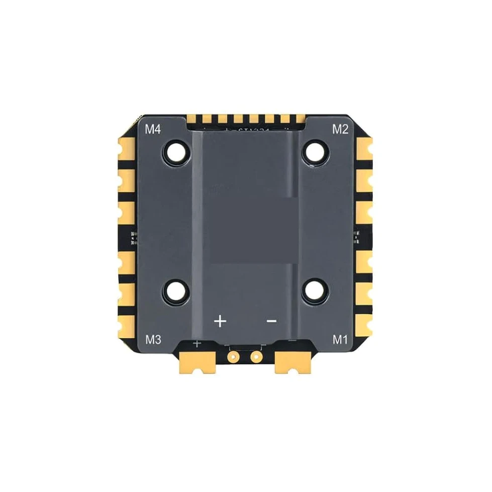 Controller ESC compatibile con i droni Axisflying Argus Pro 80A 100A 8bit 32bit 8S(100A 8bit ESC)