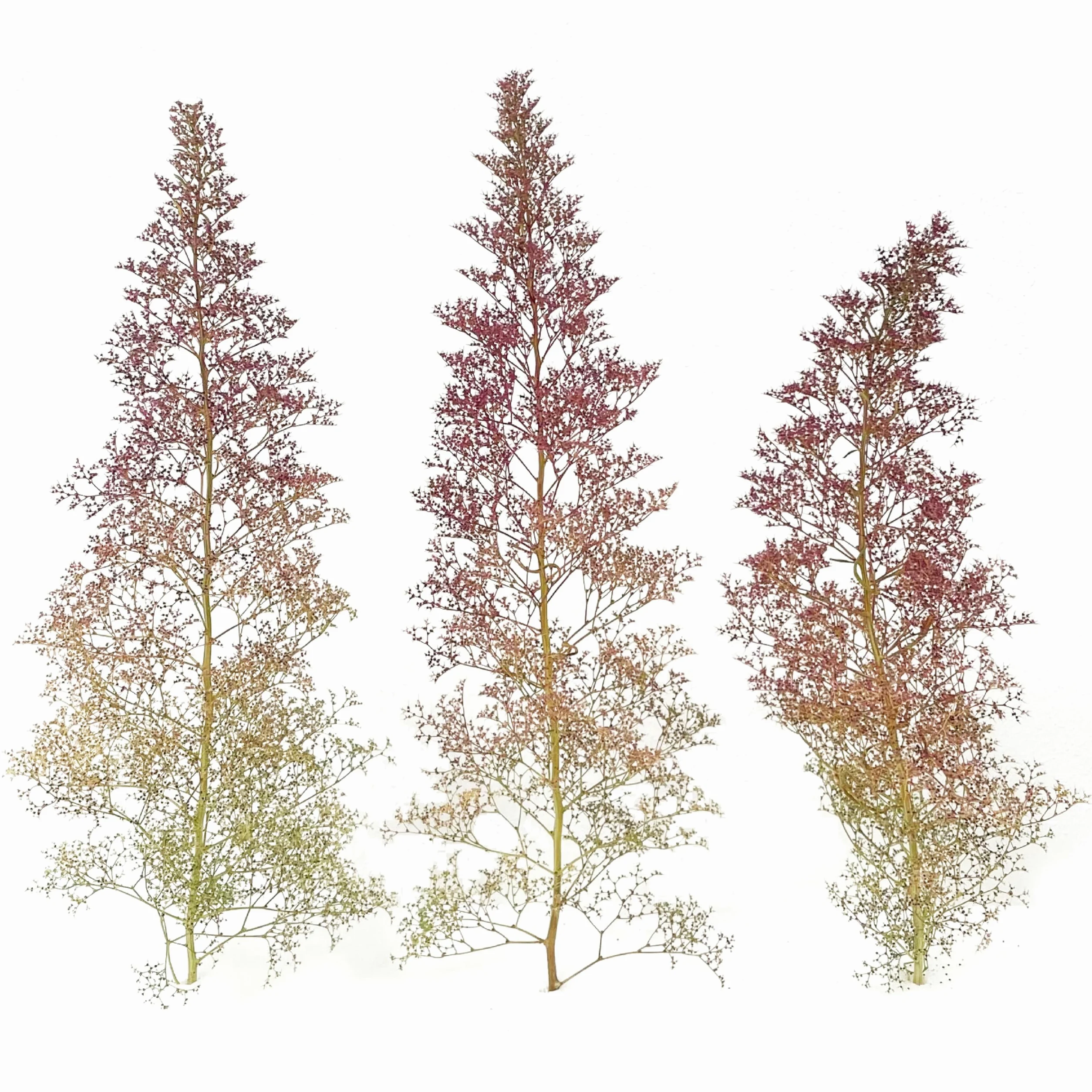 Schiuma di mare | Sacchetto (L) 400x300 mm | Crescita allungata | Per modellismo: alberi, cespugli, paesaggi, diorami | Scatola 350x250x150 mm | Colori: naturale, verde, rossastro