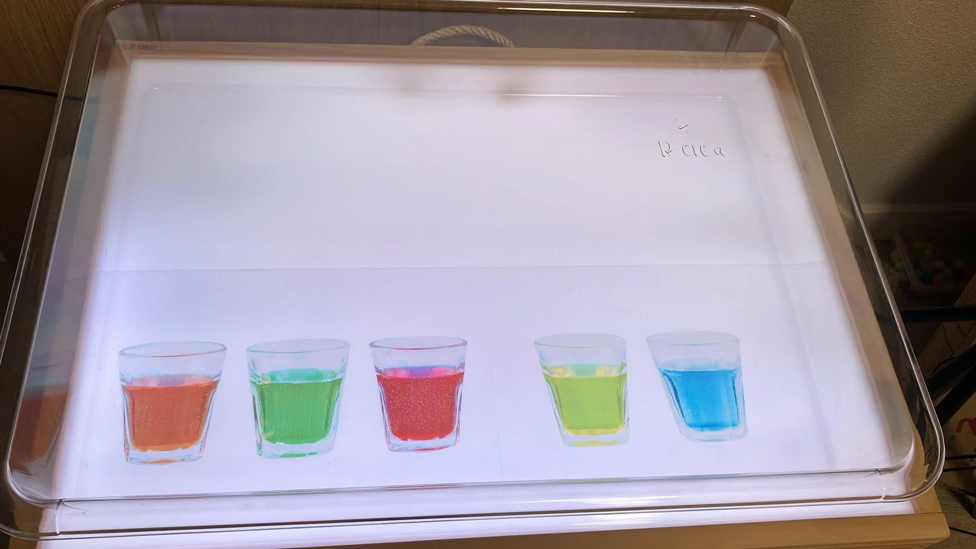 Vassoio di Esplorazione Montessori Trasparente A2 | PET Cristallo Resistente e Sicuro | Attività Sensoriali con Sabbia, Acqua e Colori | Educazione e Sviluppo Infantile