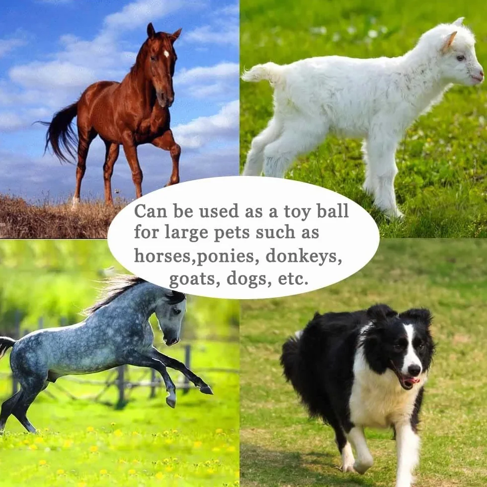 Giocattolo per allenamento a forma di palla di cavallo, anti-scoppio con pompa di gonfiaggio, per cavallo, agnello, capra, giocattolo di intrattenimento (55 cm, blu)