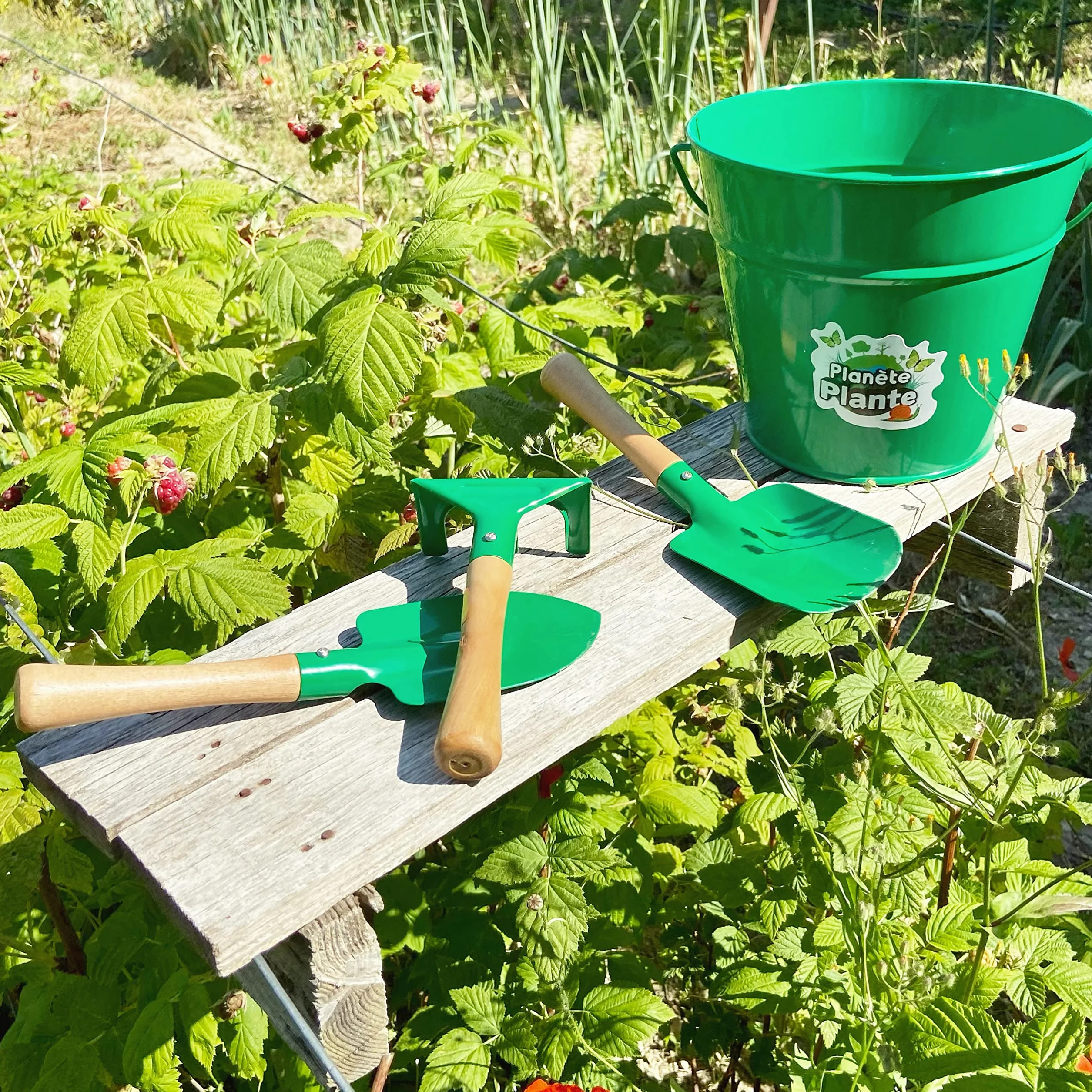 Set di 6 Pezzi per Giardinaggio - Attrezzi per il Giardinaggio - 170064 - Metallo - Giardino - Pianta - Paletta - Rastrello - Annaffiatoio - Gioco per Bambini - A partire dai 3 anni
