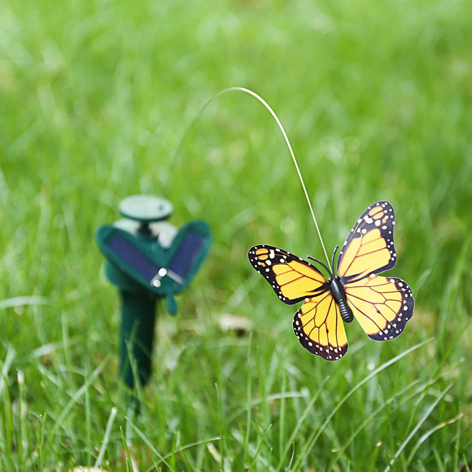 Farfalle danzanti solari colibrì volanti decorazione giardino
