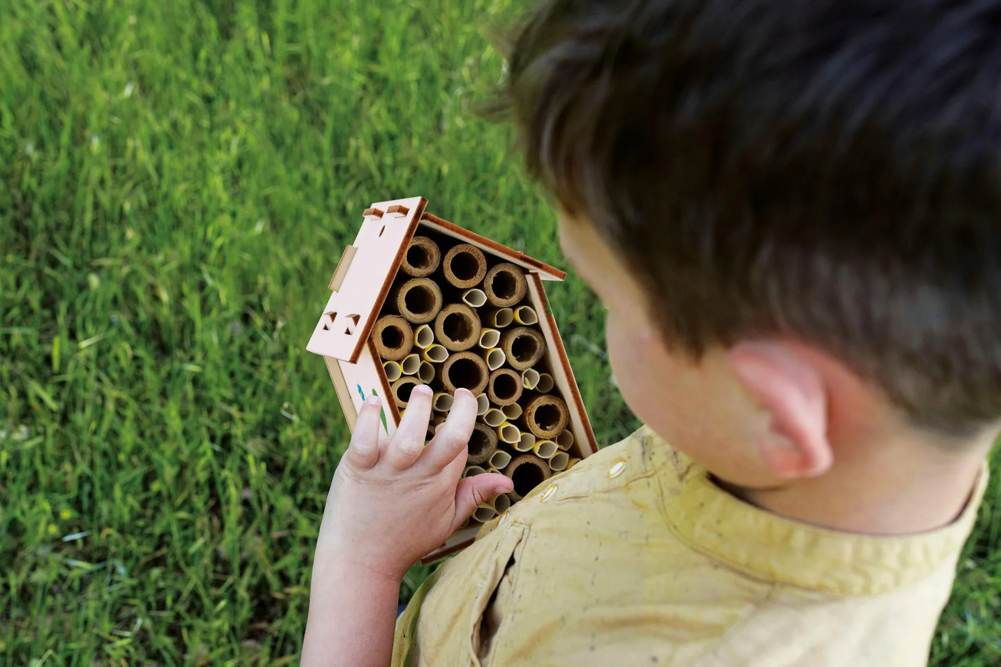 Laboratoire des abeilles - Kit Scientifique - I'M A GENIUS - Expériences variées