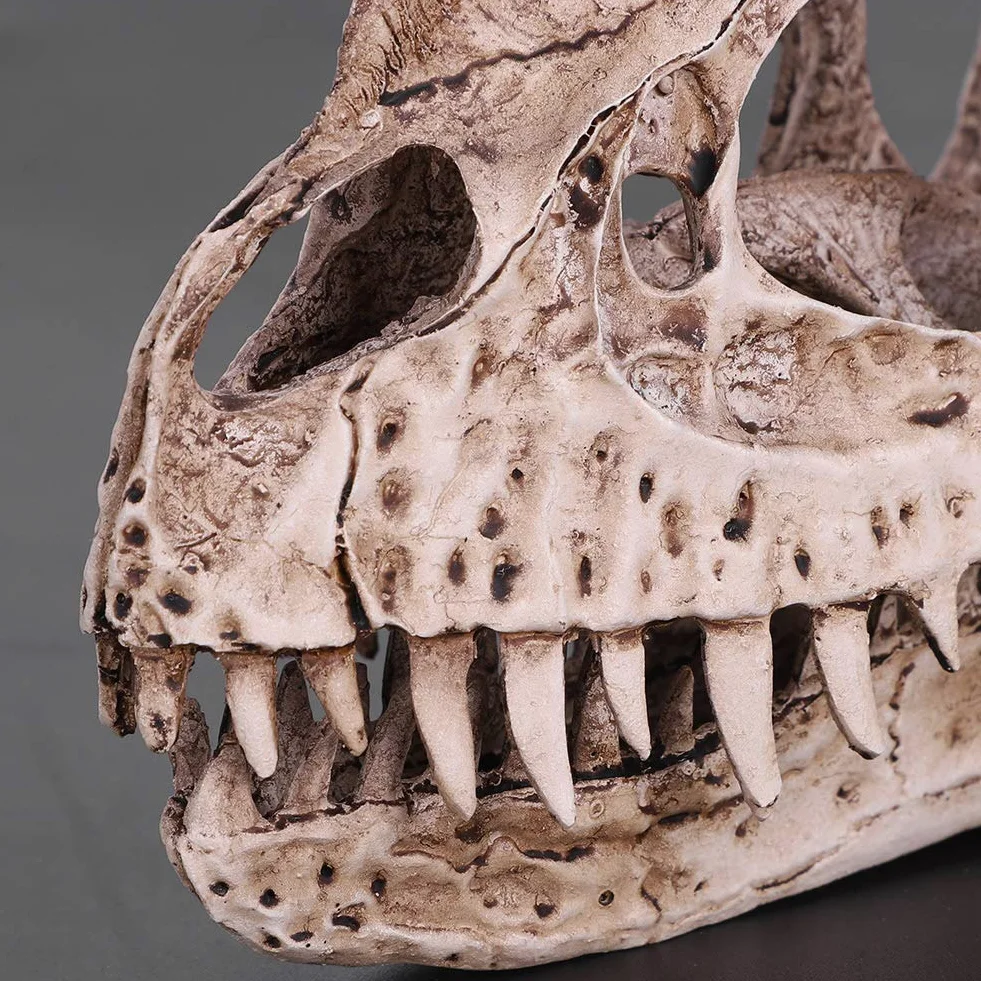 GOTOTOP Modello di teschio di dinosauro, modello di teschio di dinosauro in resina, scheletro di animali, casa, ufficio, bar, feste, decorazioni per lavori artigianali