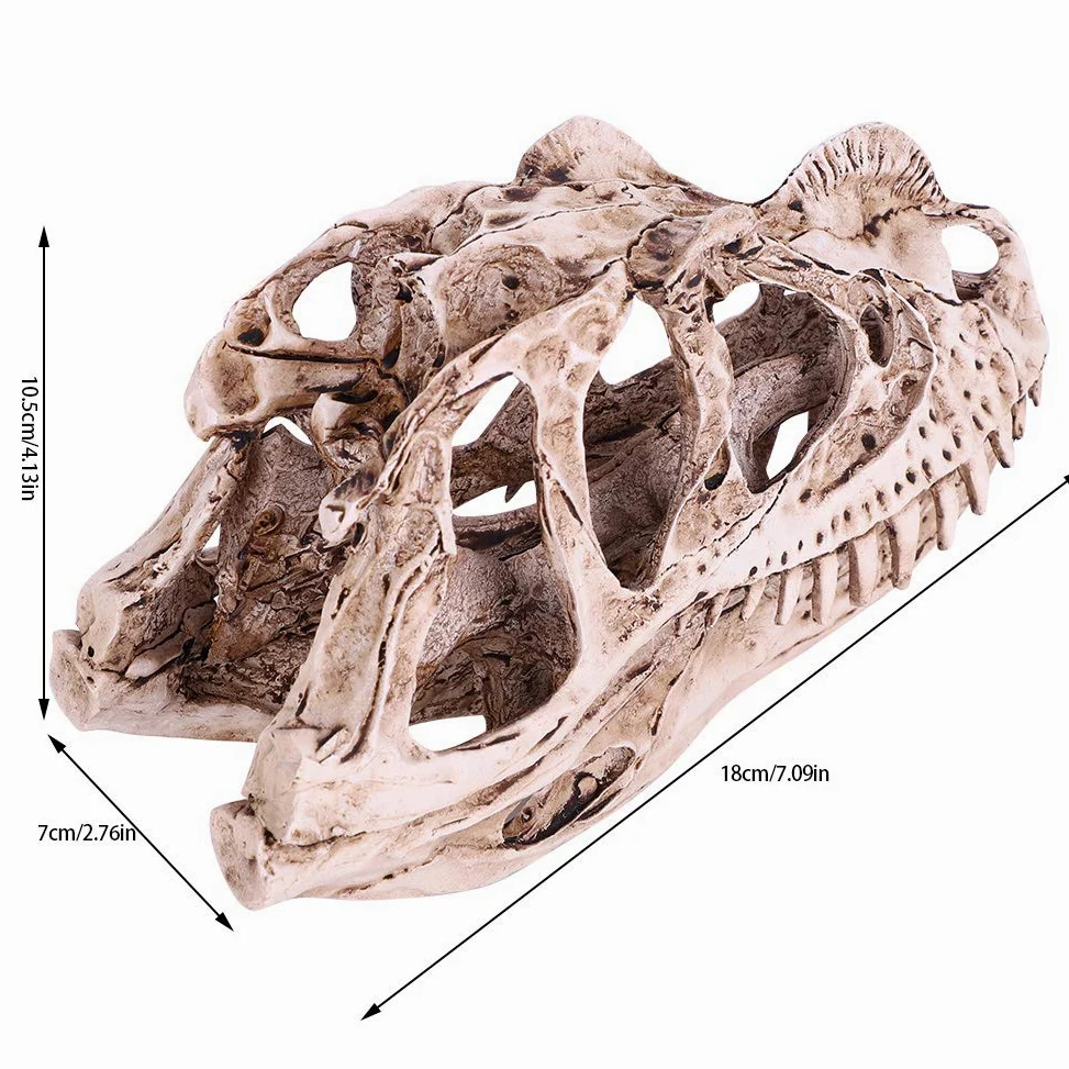GOTOTOP Modello di teschio di dinosauro, modello di teschio di dinosauro in resina, scheletro di animali, casa, ufficio, bar, feste, decorazioni per lavori artigianali
