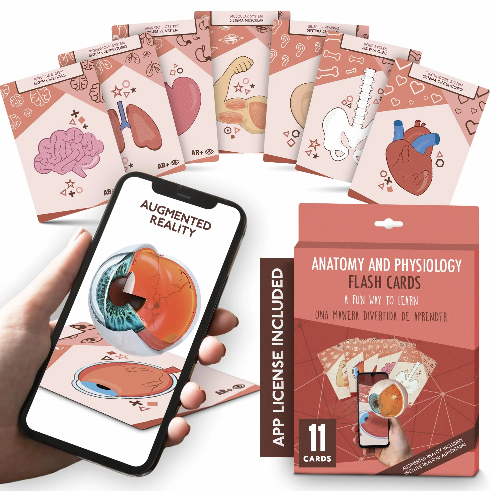 Body cards, carte con realtà aumentata per conoscere il corpo umano giocando