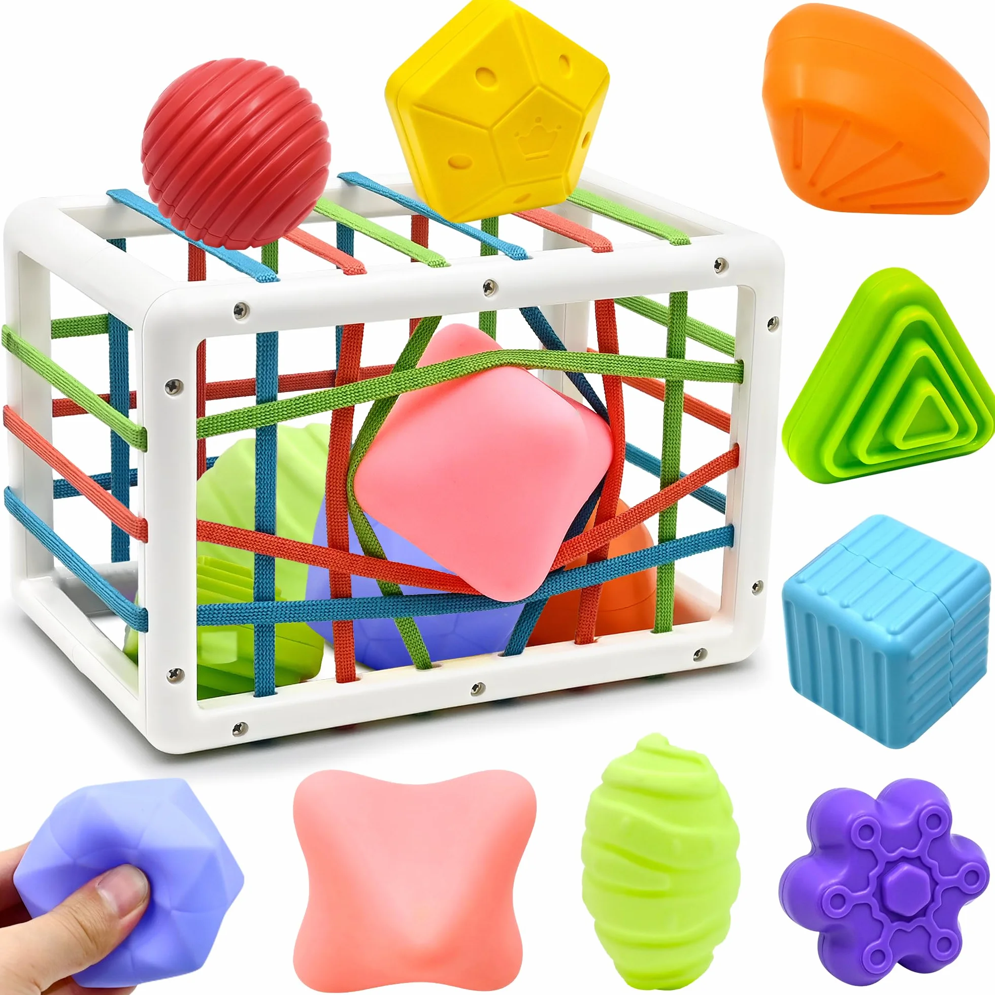Montessori Giocattolo Selezionare Forme 12-24 Mesi Bambino Casella Smistamento Sensoriale Elastici 6 Pezzi Palle Struttura