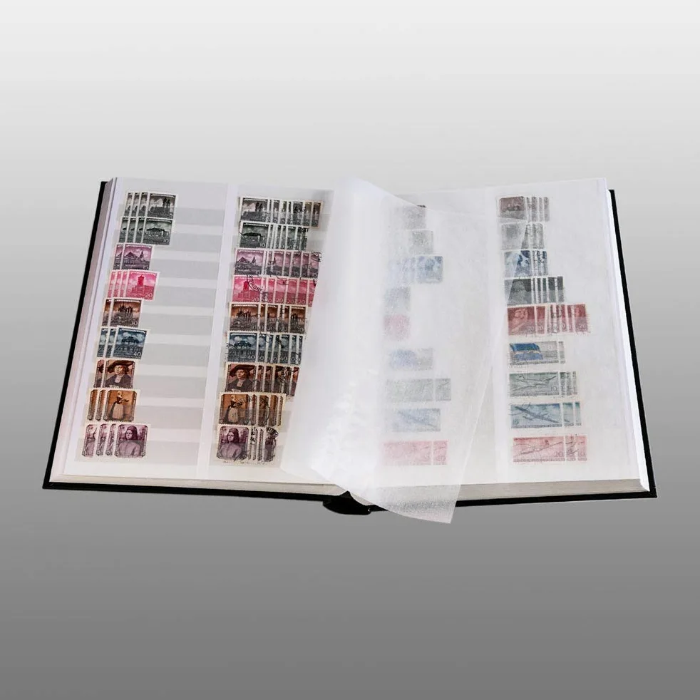 Prophila classificatori 60 pagina bianco DIVIDIDA con cofanetto marrone