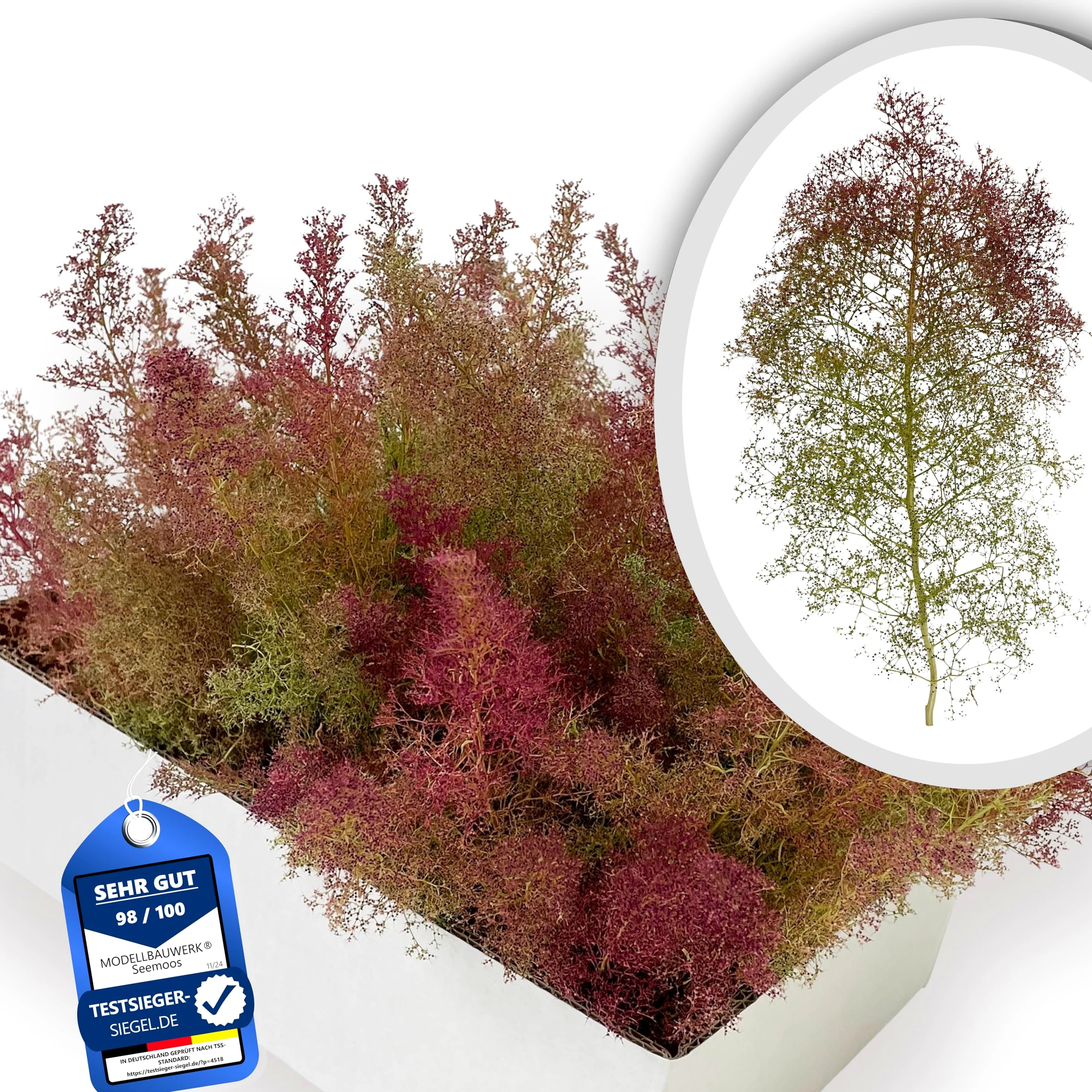 Schiuma di mare | Sacchetto (L) 400x300 mm | Crescita allungata | Per modellismo: alberi, cespugli, paesaggi, diorami | Scatola 350x250x150 mm | Colori: naturale, verde, rossastro