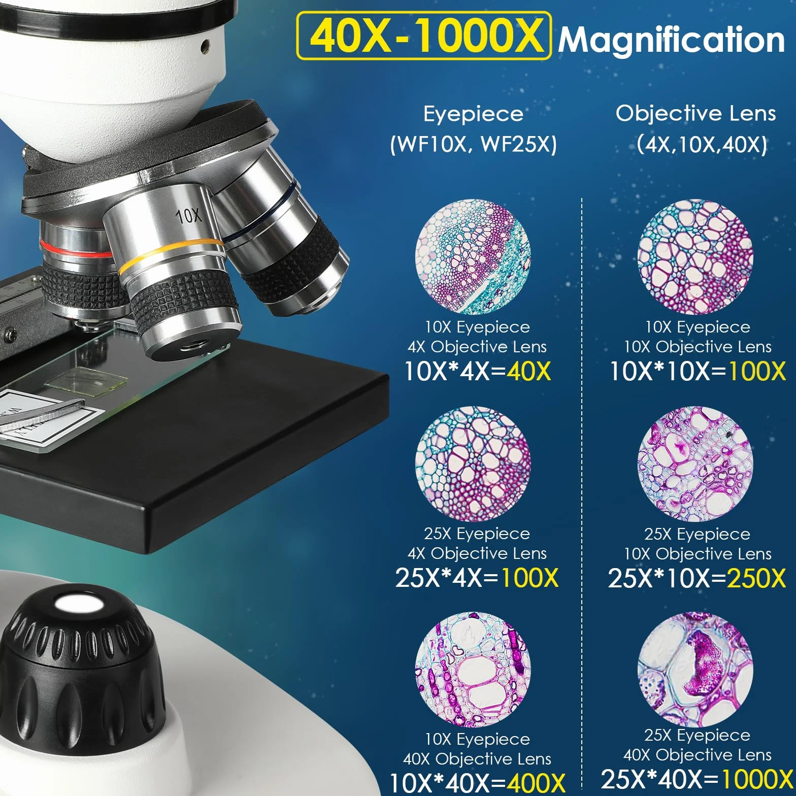 Cowiewie Microscopio Binoculare professionale a trasmissione e riflessione 40X-1000X per luce incidente e trasmessa, con oculare e illuminazione a LED, microscopio per studenti con vetrini